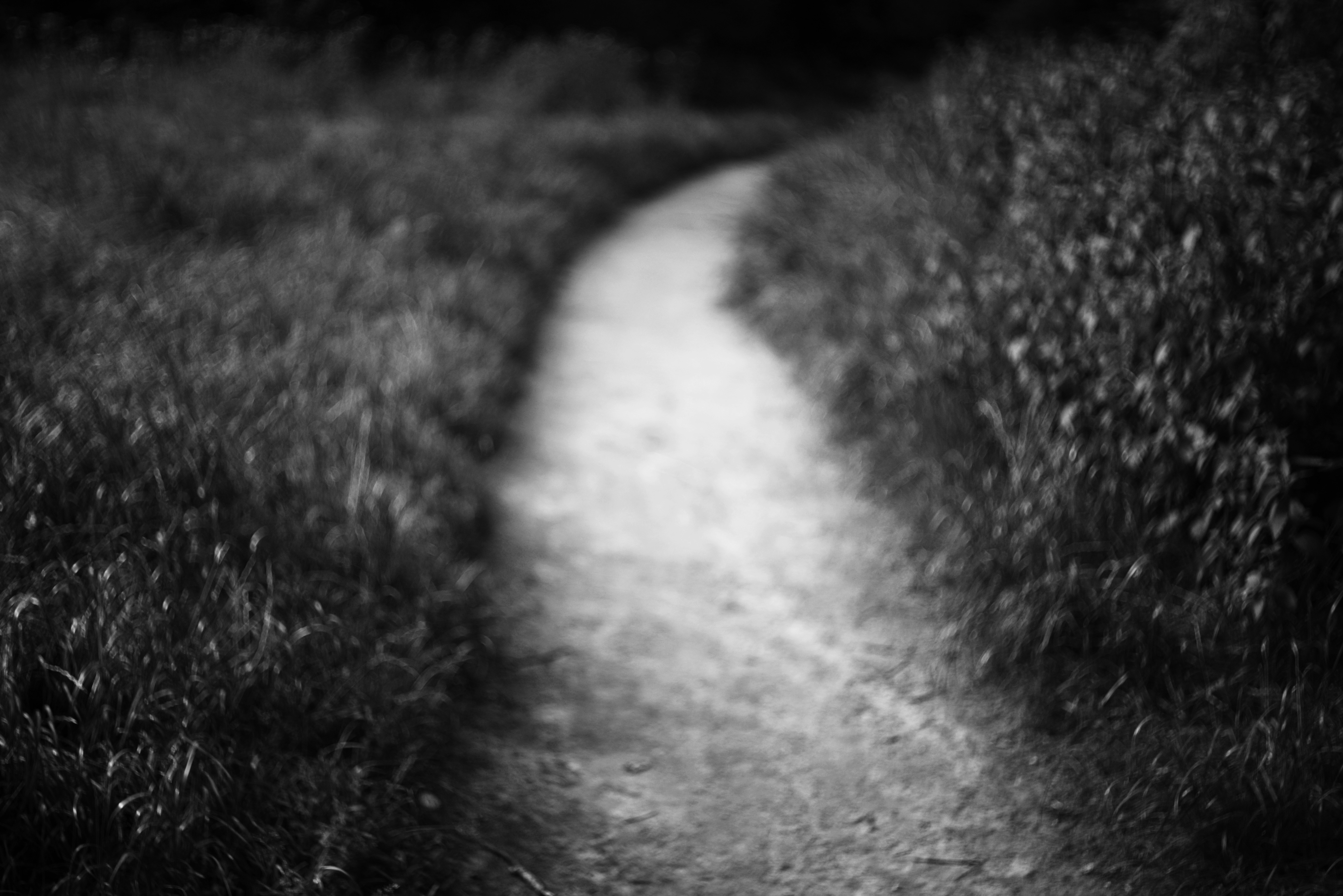 A winding path through dark grass in black and white.