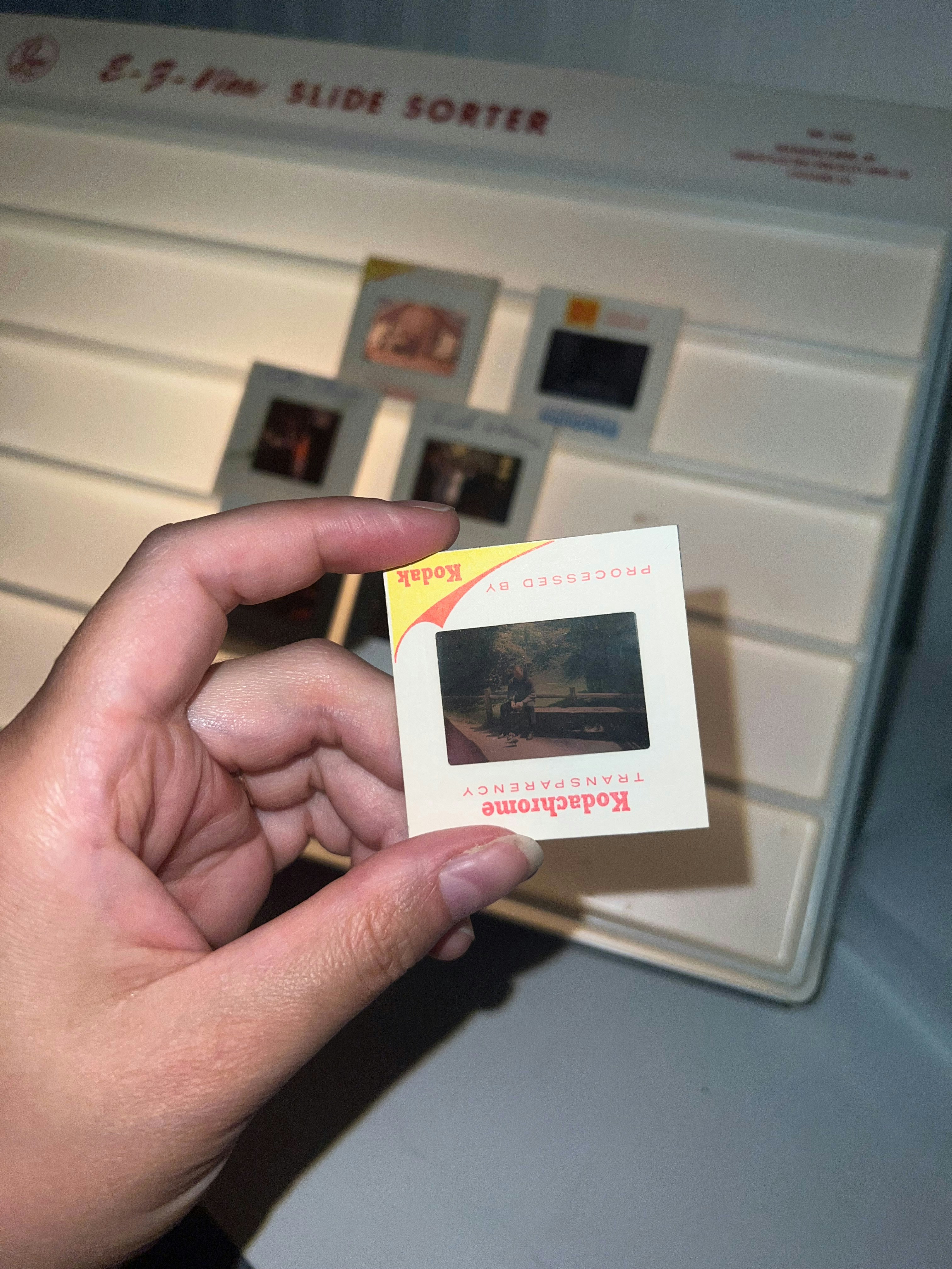 Hand holding a kodachrome film slide with a sorter.