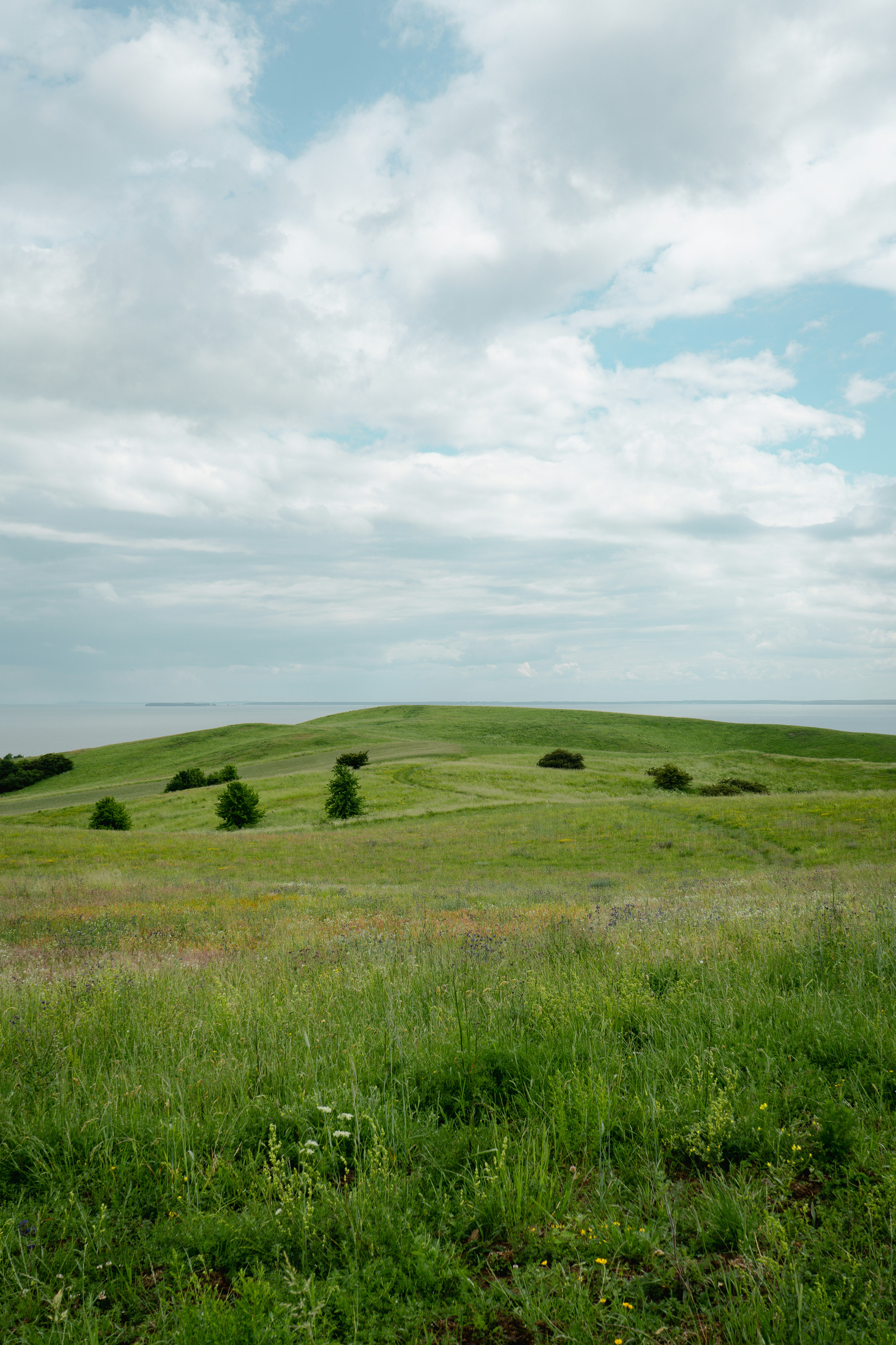 Photo by max_boehme