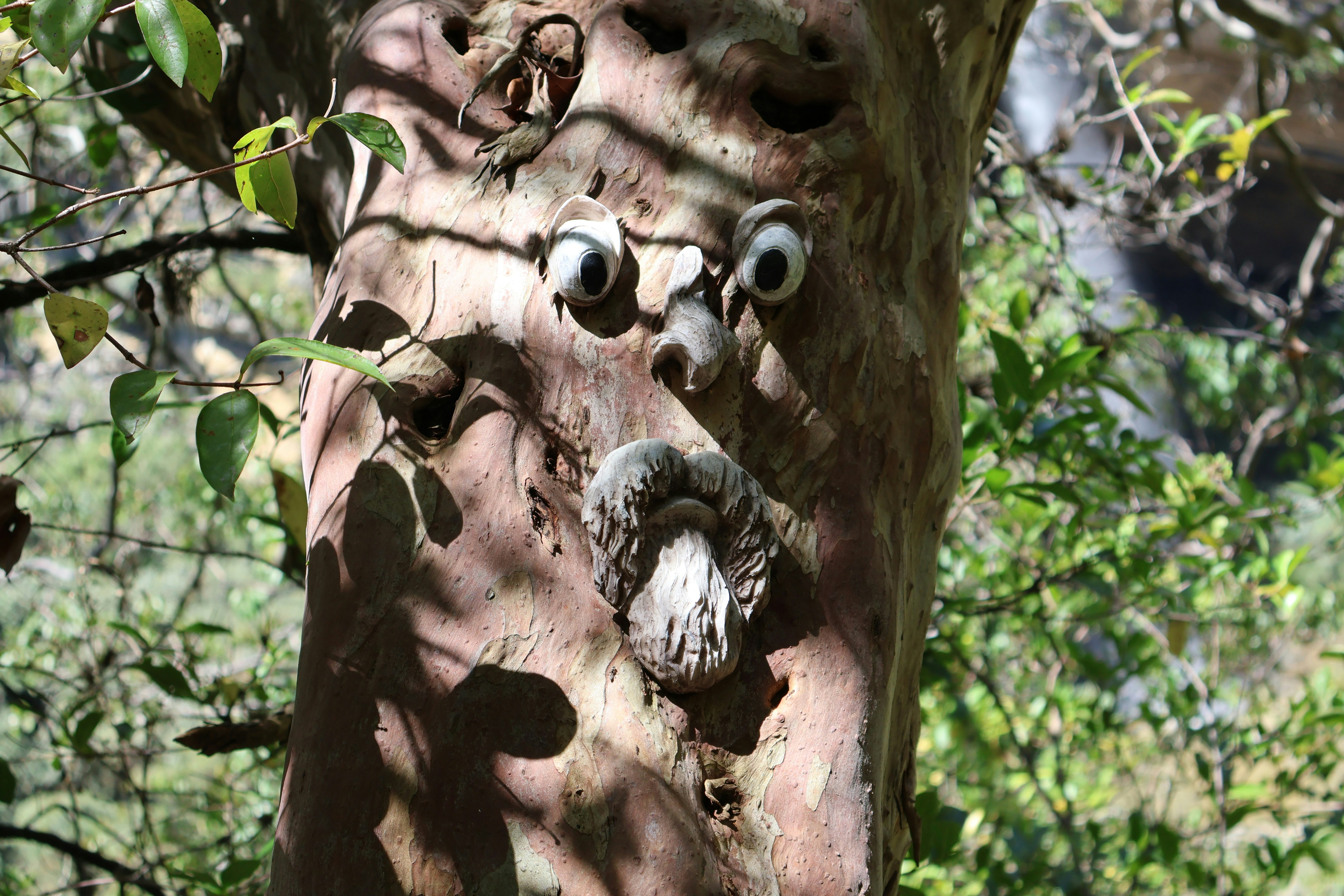 A tree trunk with googly eyes and a carved mouth.