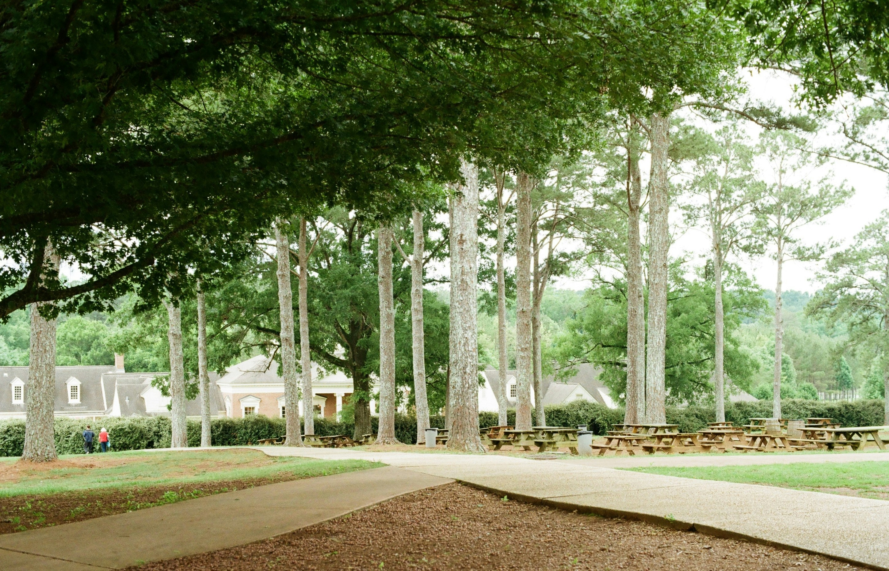 Park with tall trees, walking paths, and picnic tables.