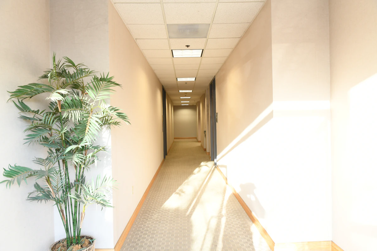 Lorong kantor panjang dengan tanaman dan cahaya matahari