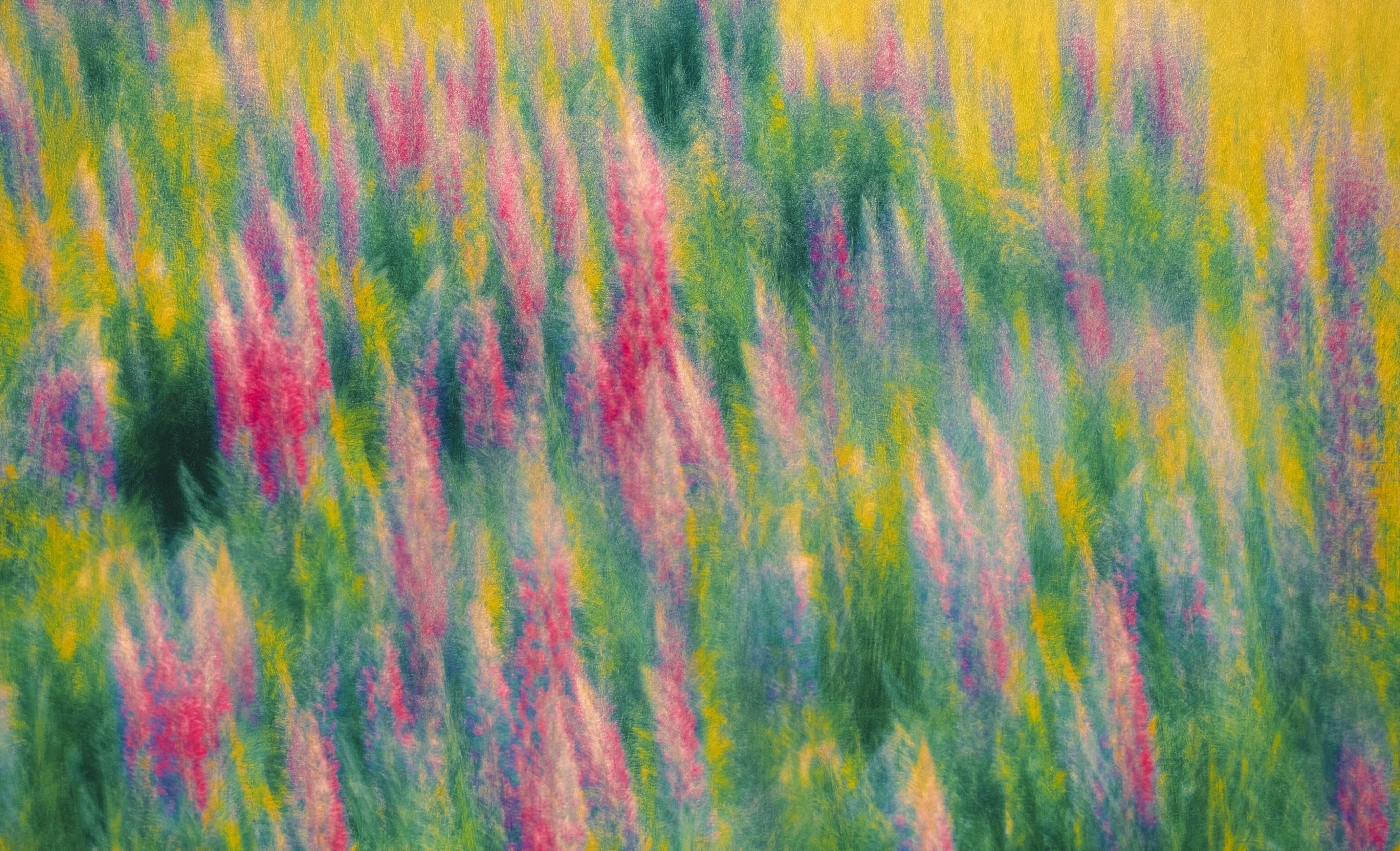Verschwommenes Feld aus rosa und grünen Blumen mit gelbem Hintergrund.
