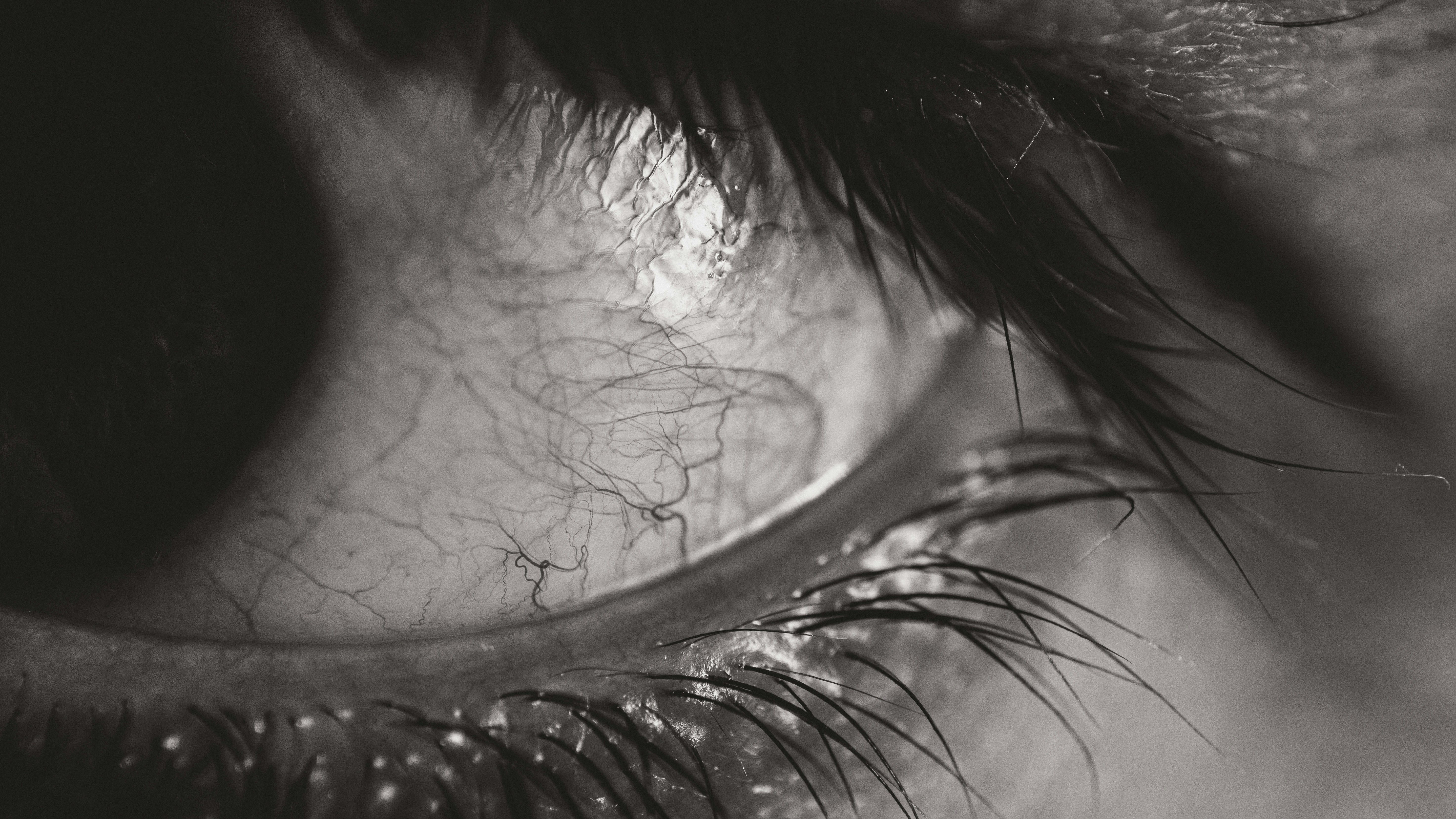 Menschliches Auge in Schwarz-Weiß mit sichtbaren Adern.