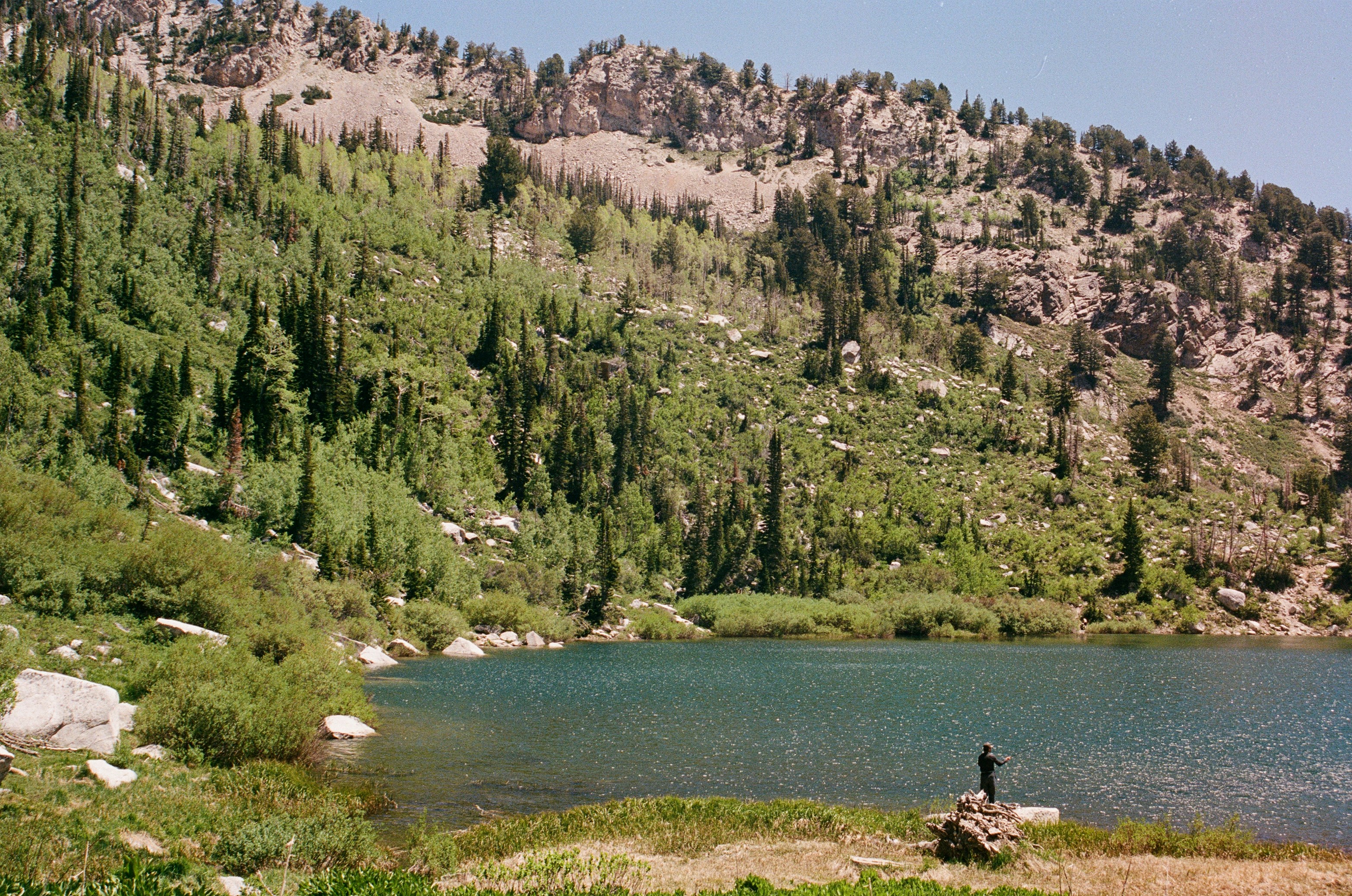 Person stands by a clear mountain lake amidst green forests.