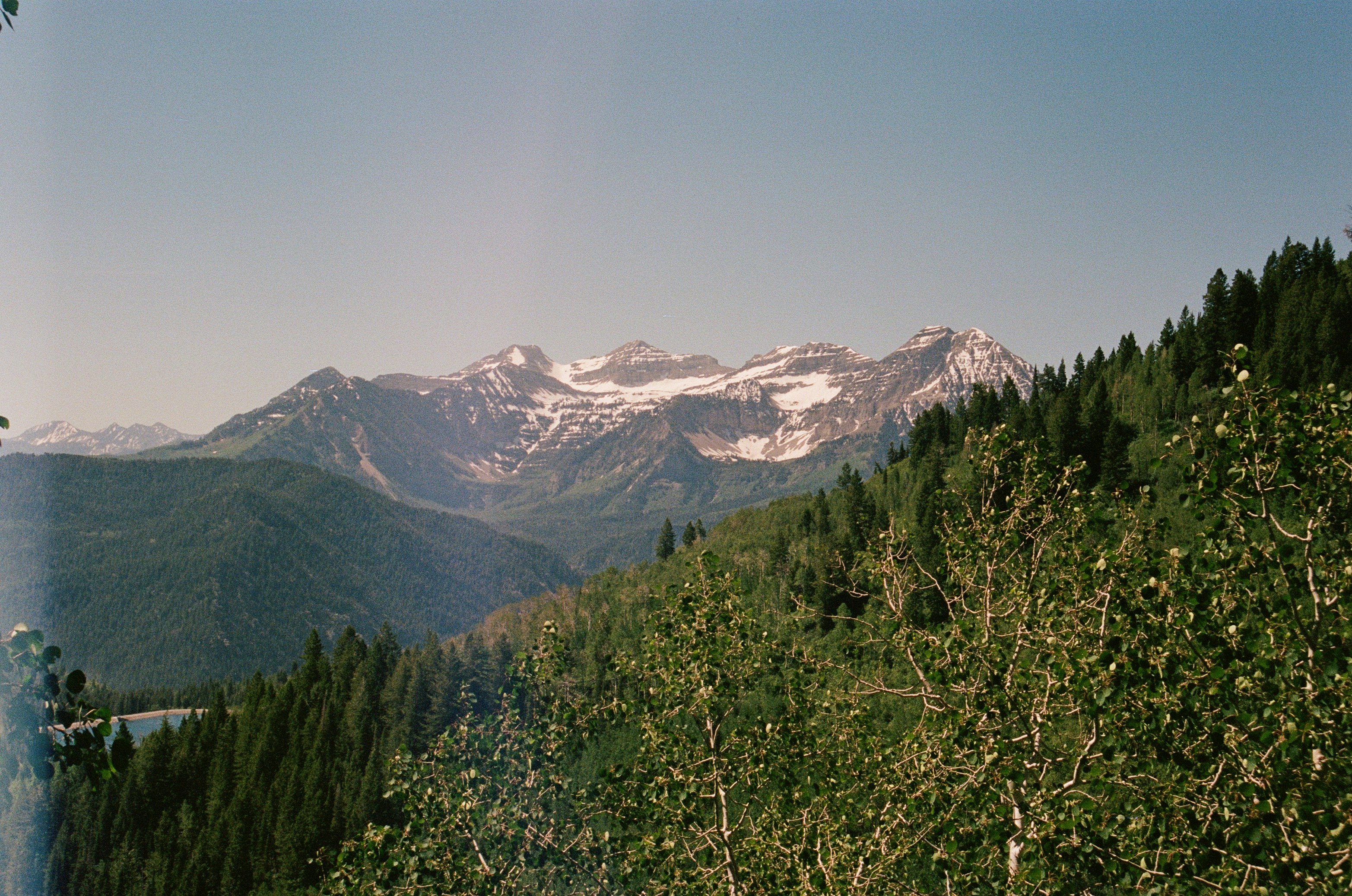 Green forests and snow-capped mountains under a clear blue sky.