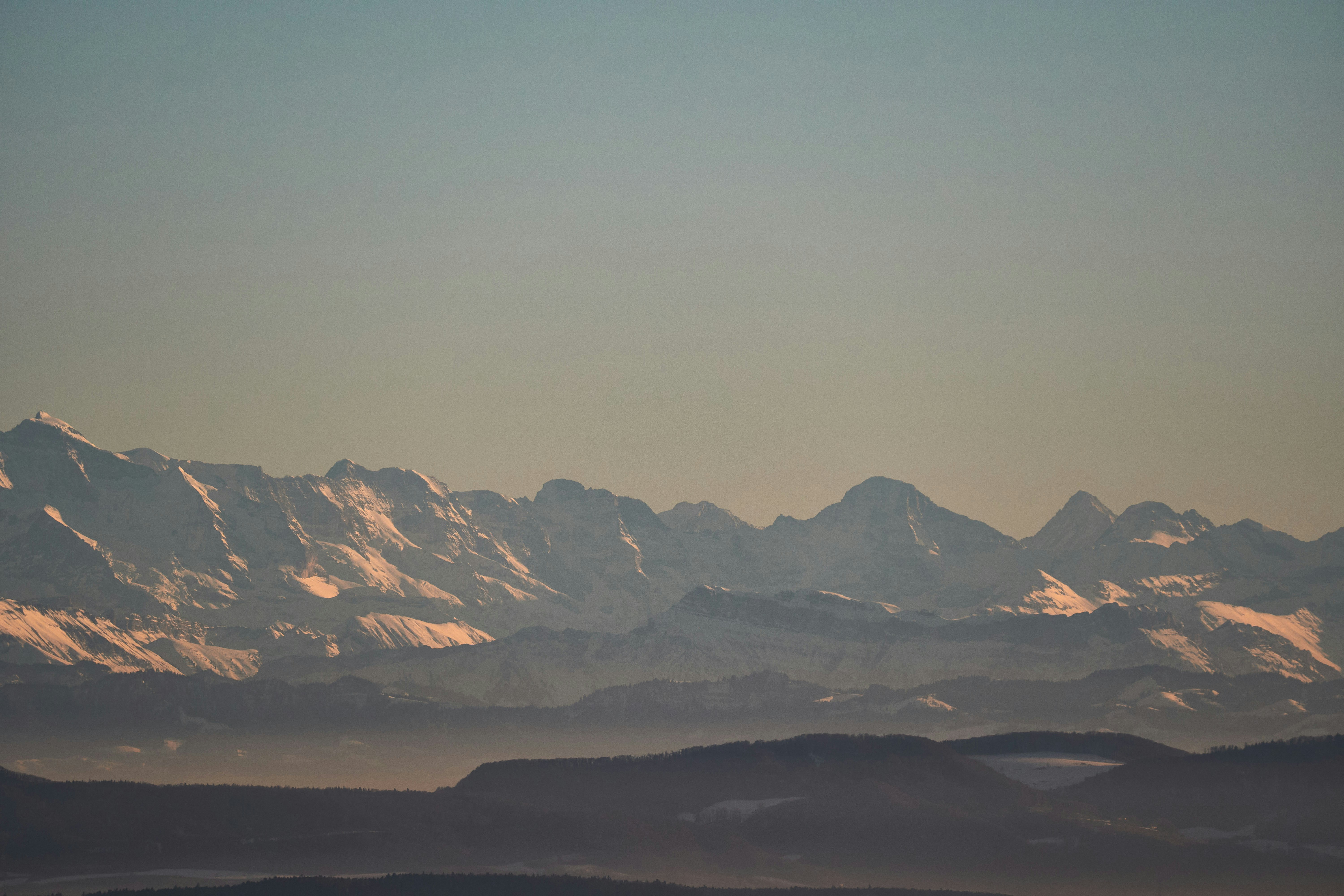 Photo by wolfgang_hasselmann