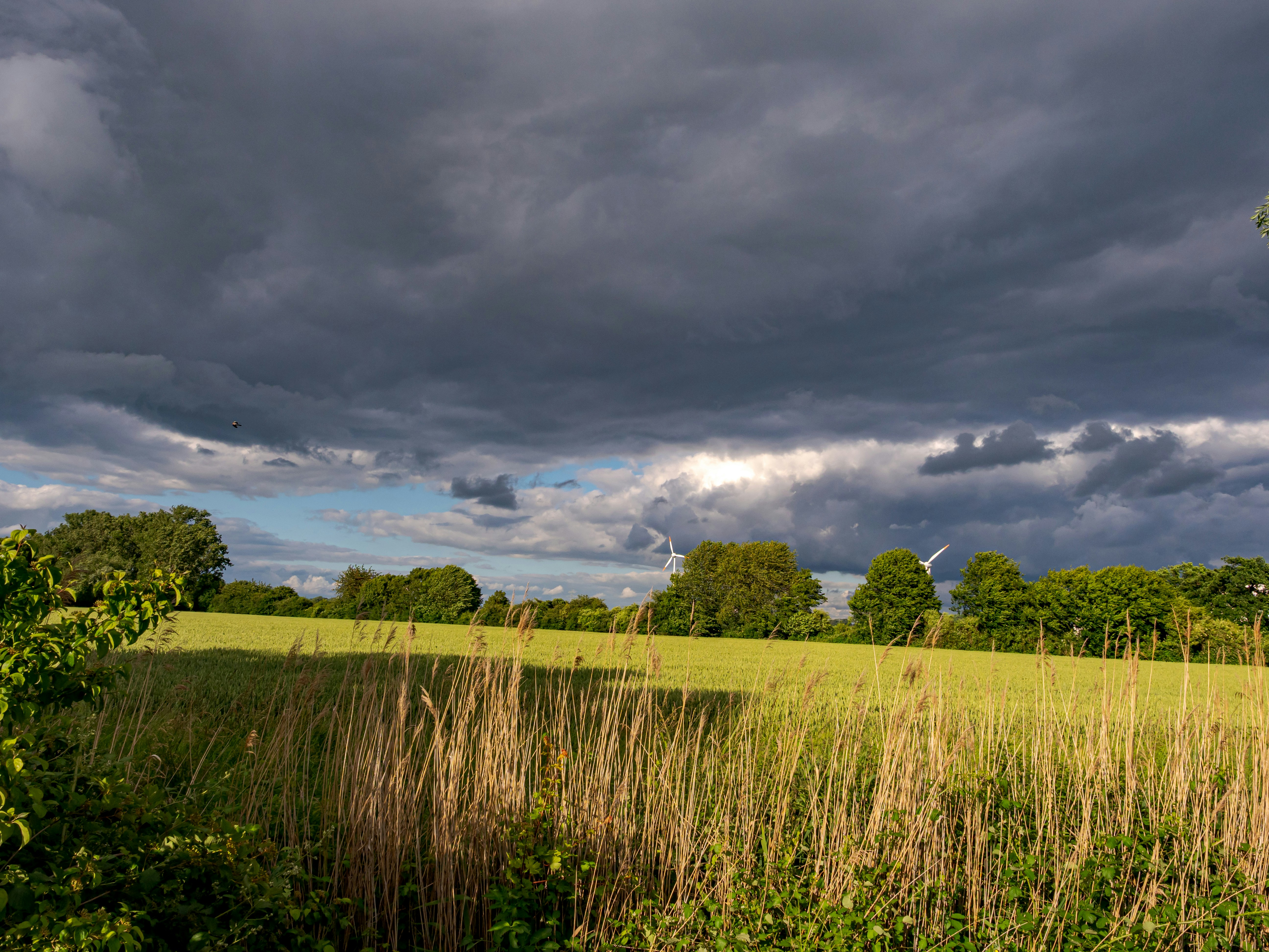 Photo by skstrannik