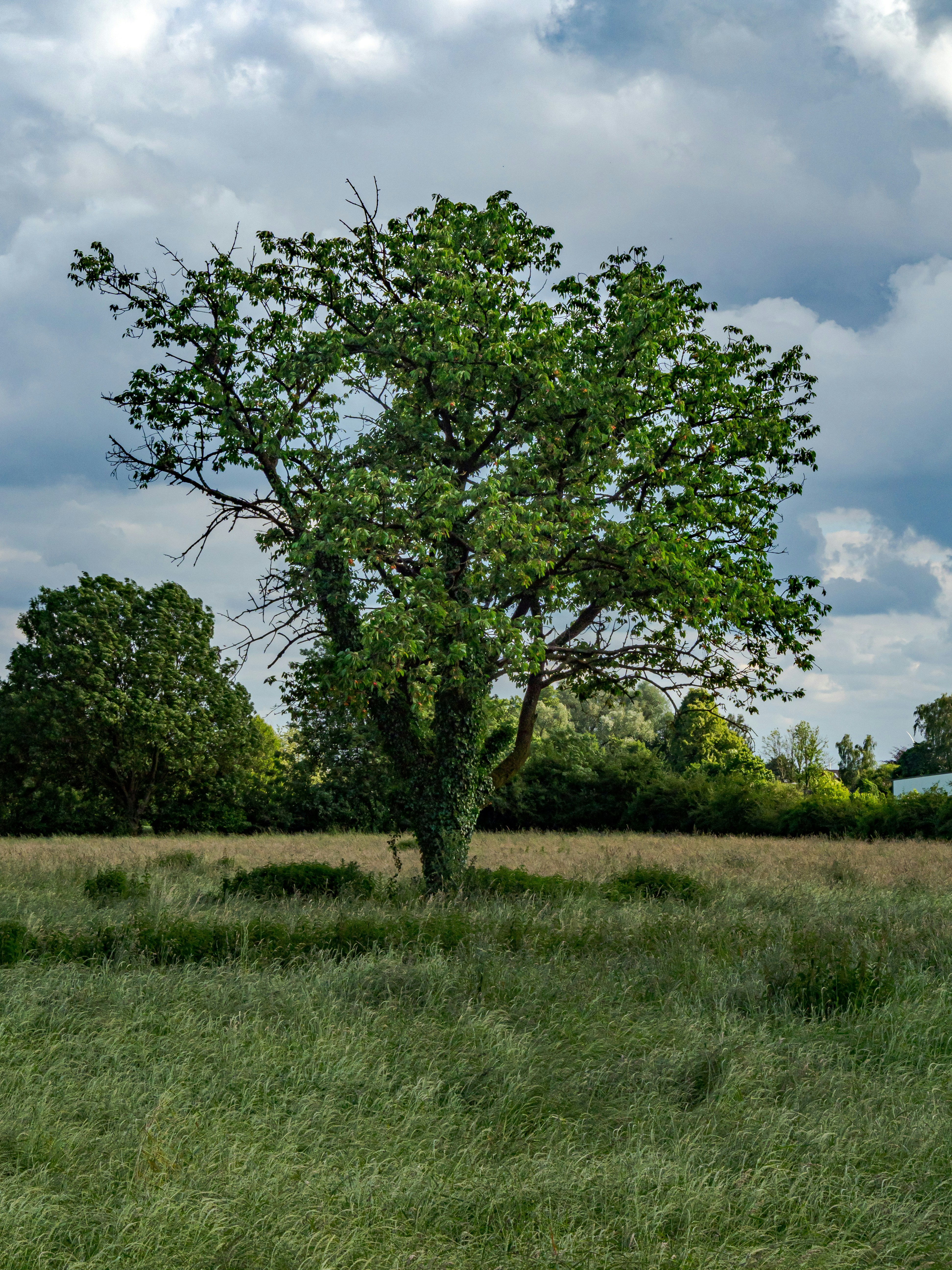 Photo by skstrannik