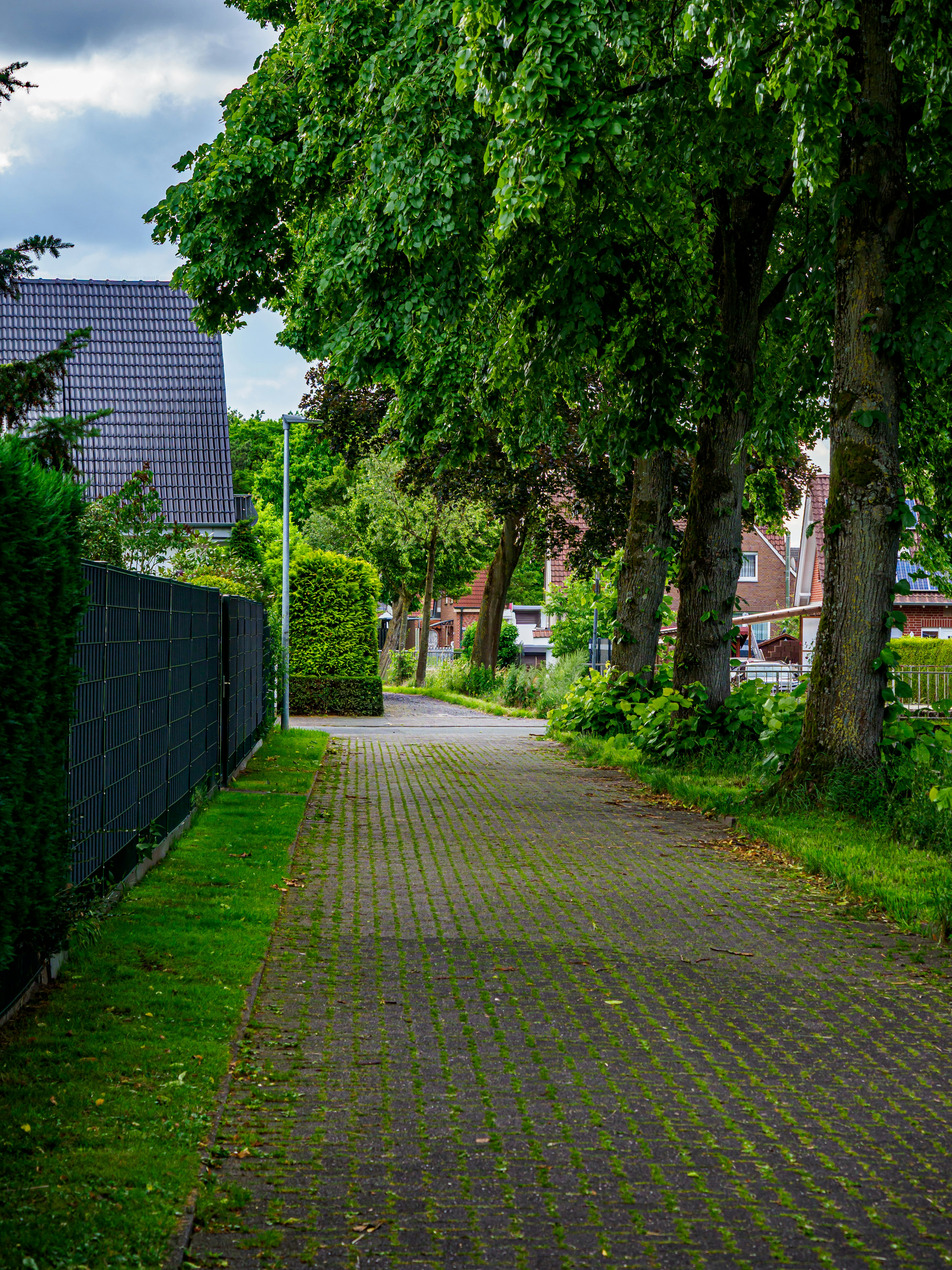 Photo by skstrannik