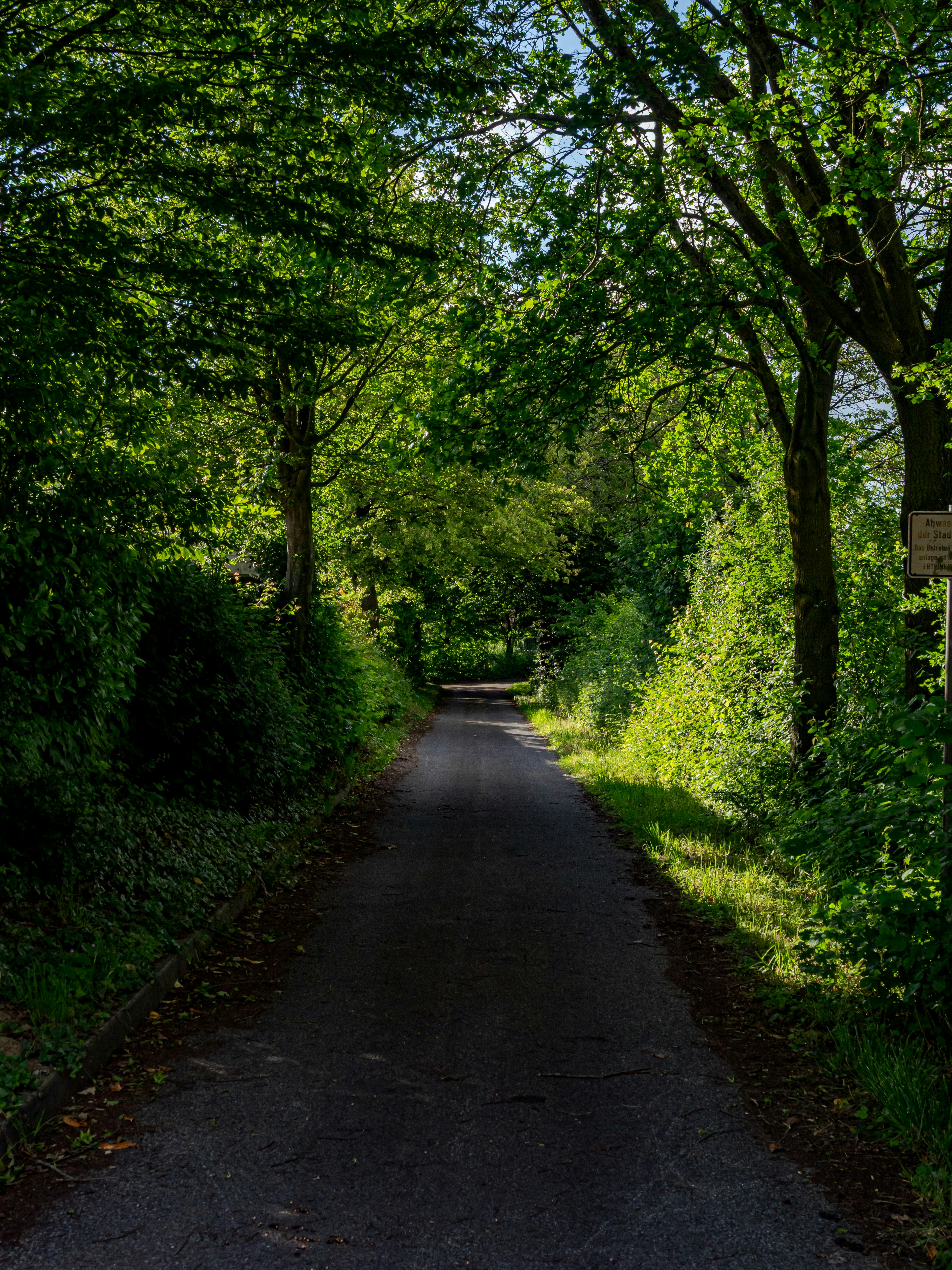 Photo by skstrannik