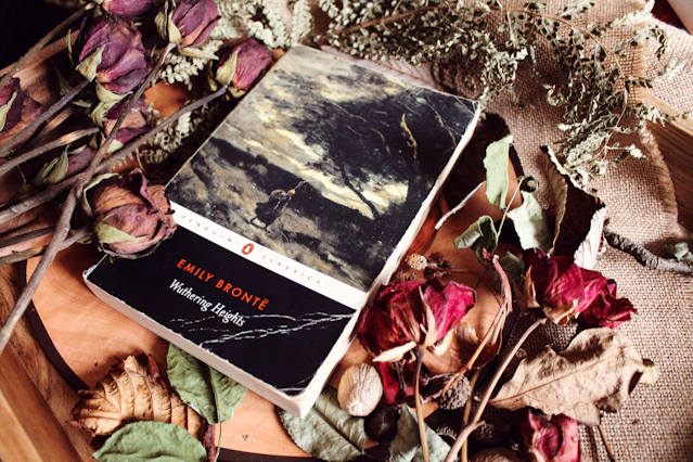Classic novel wuthering heights surrounded by dried flowers and leaves.