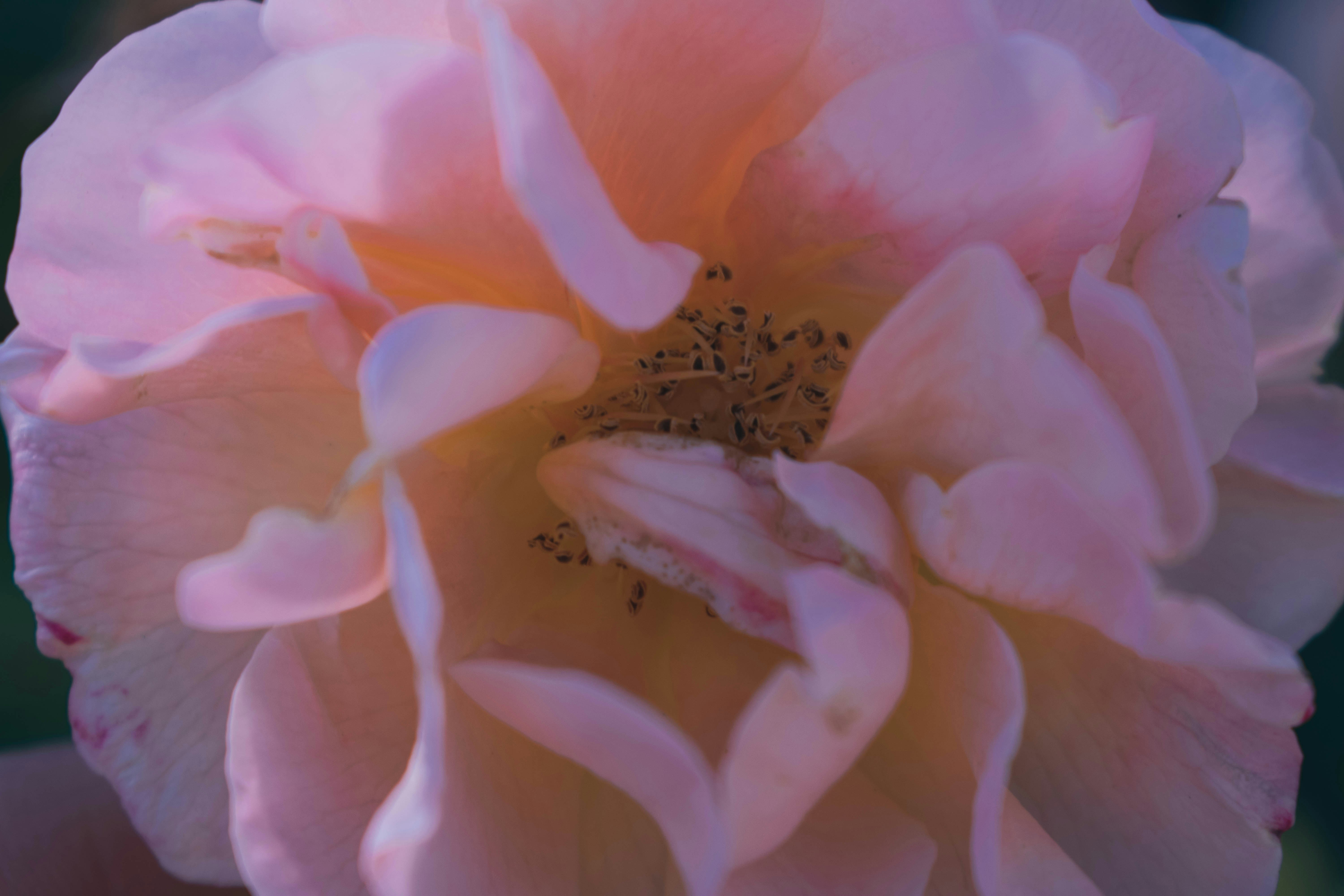 Photo by madalinaz