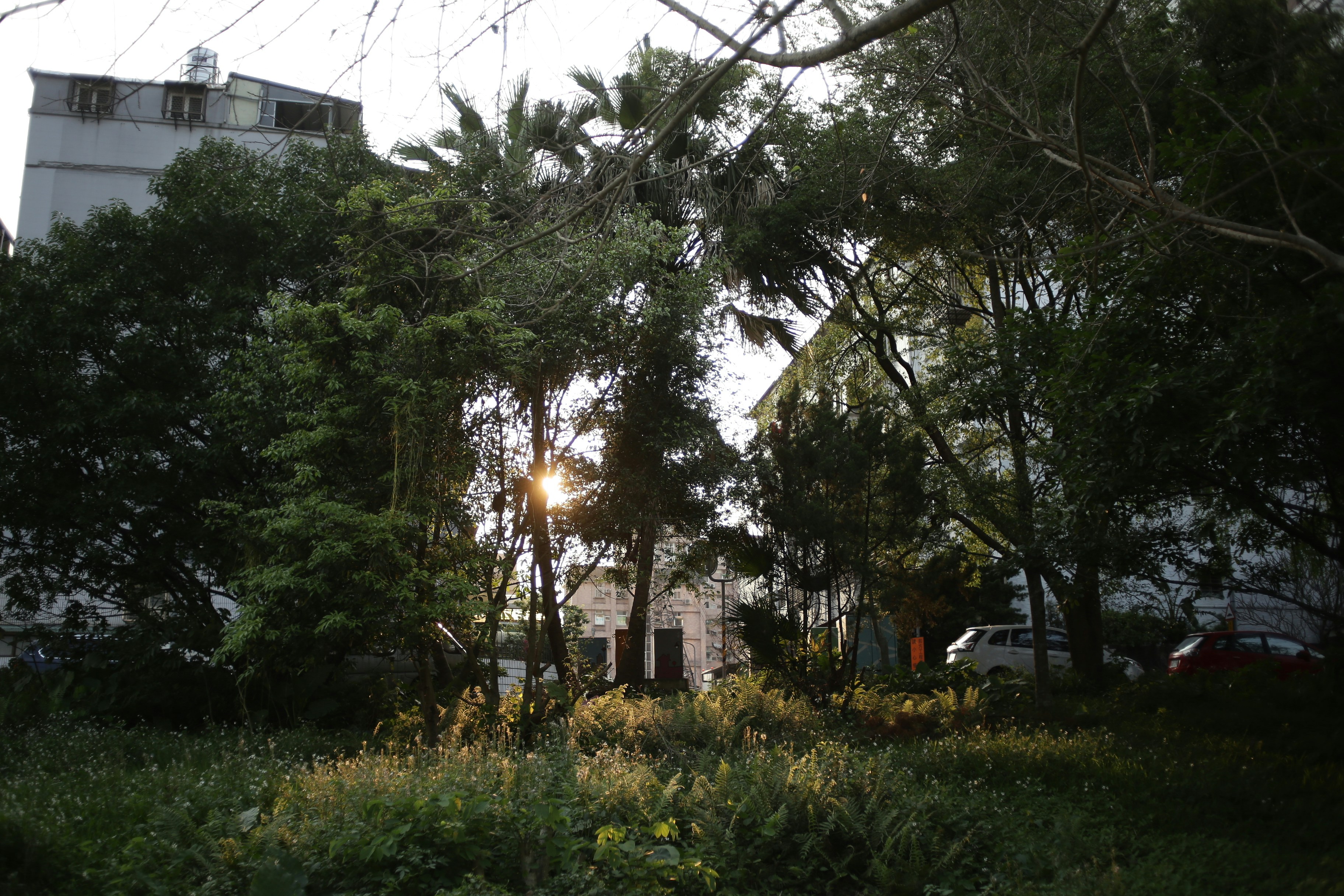 Photo by mclee