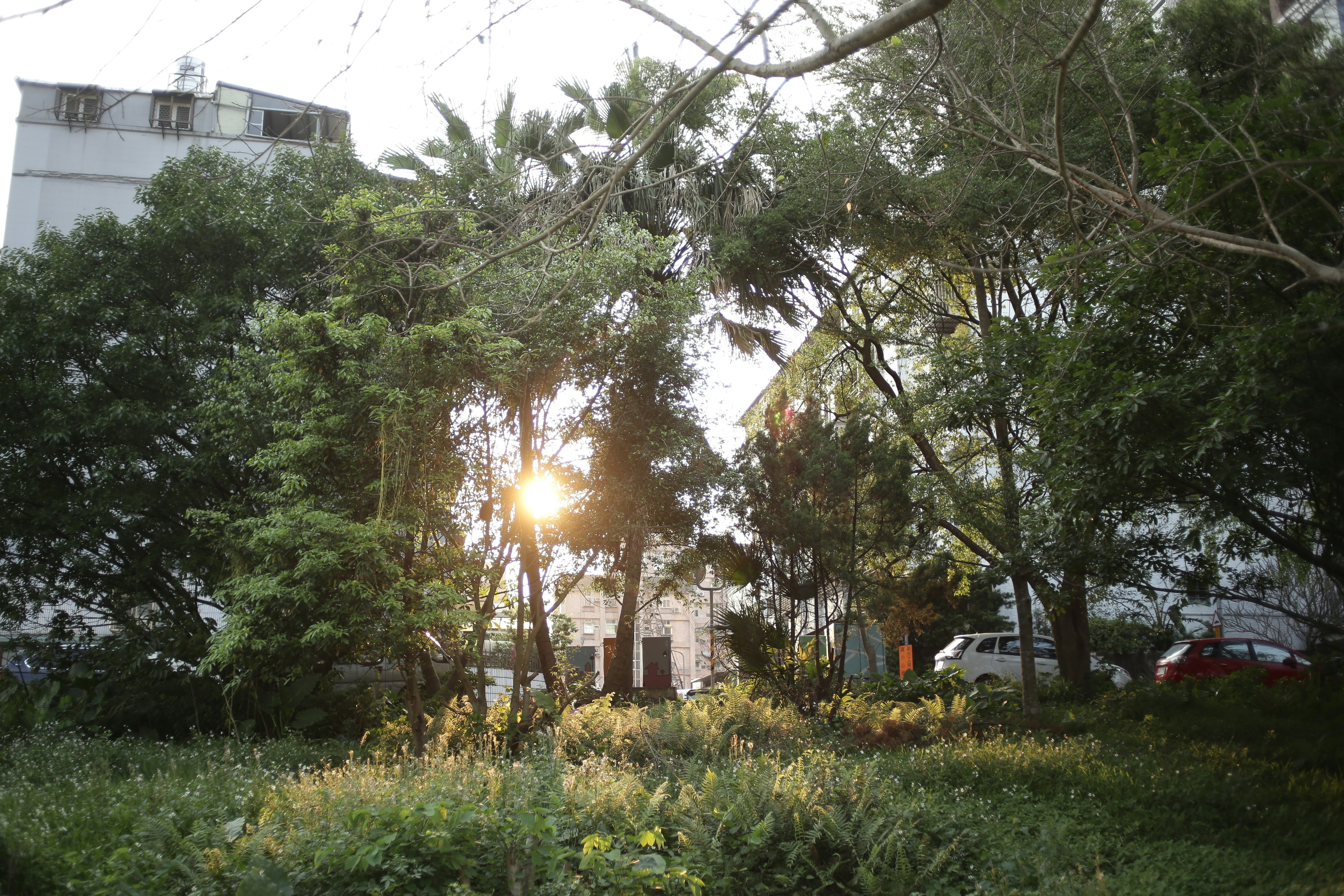 Photo by mclee