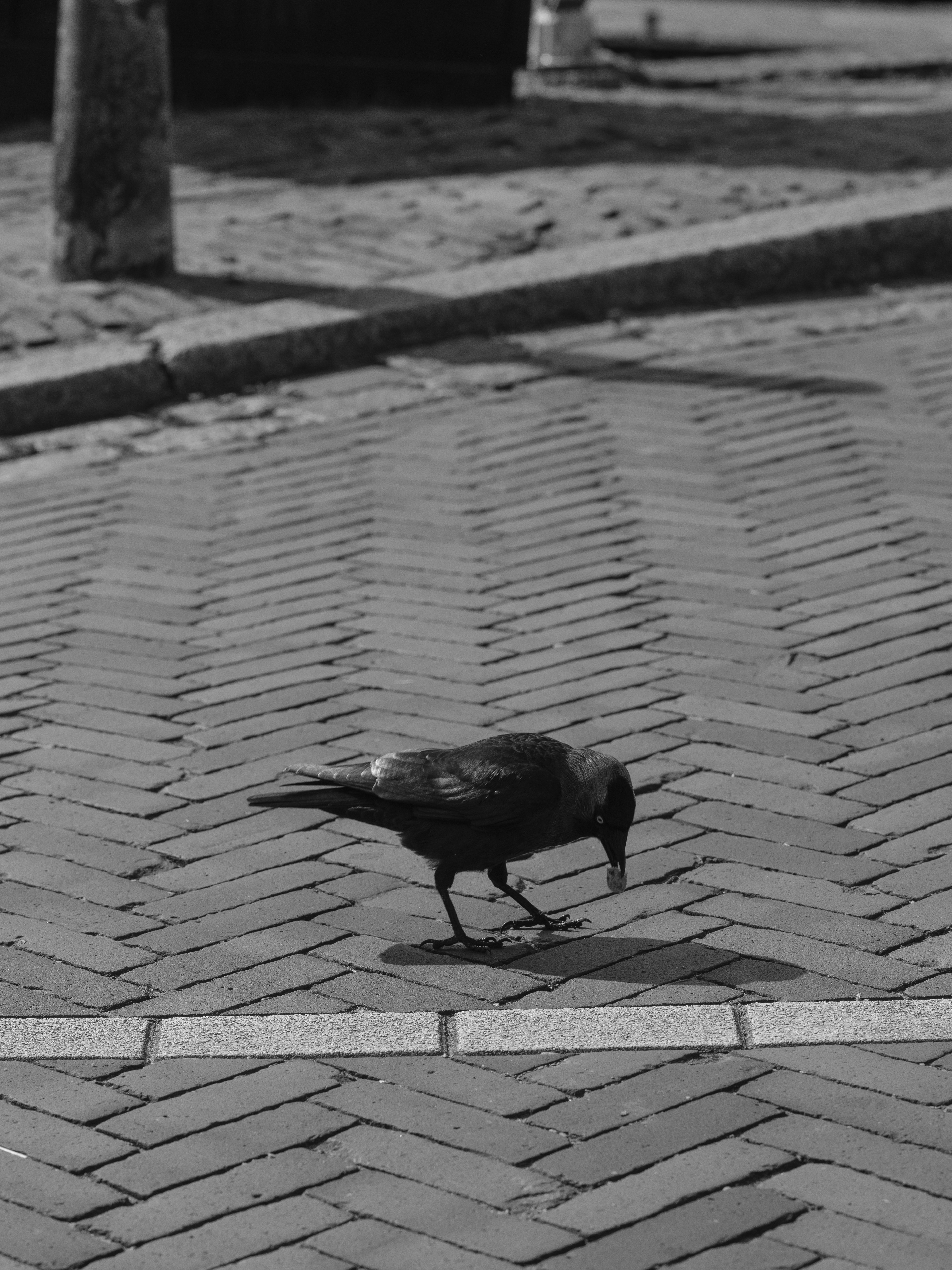 Photo by haberdoedas