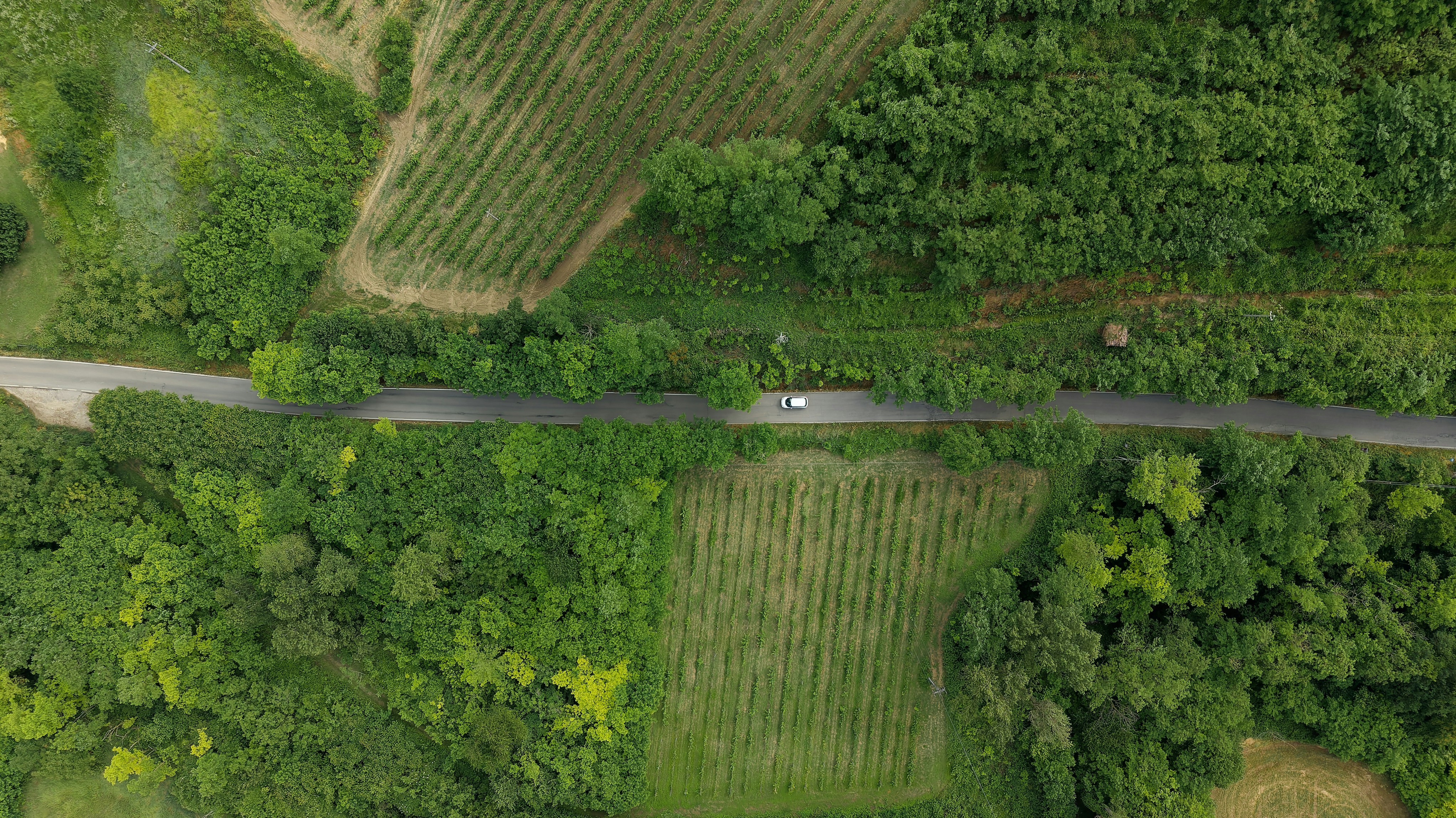 Route sinueuse dans la campagne