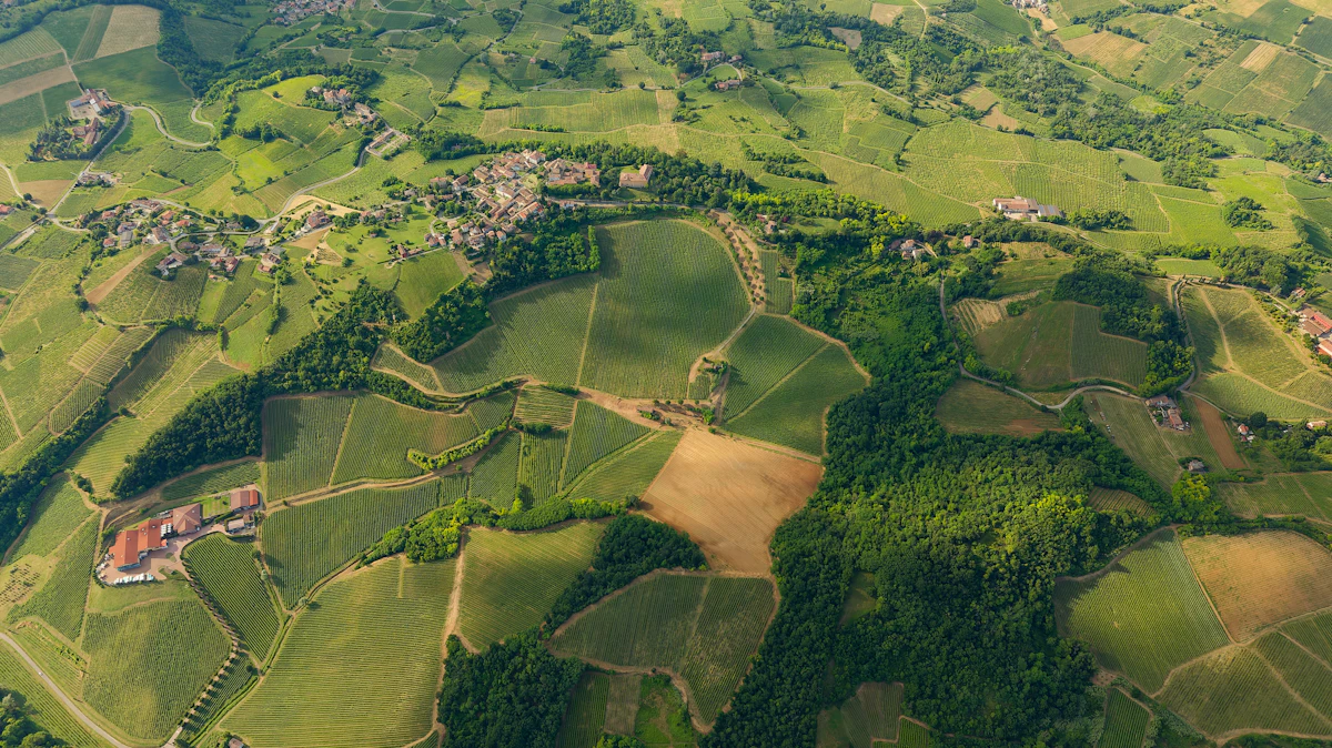 Région viticole de Moravie