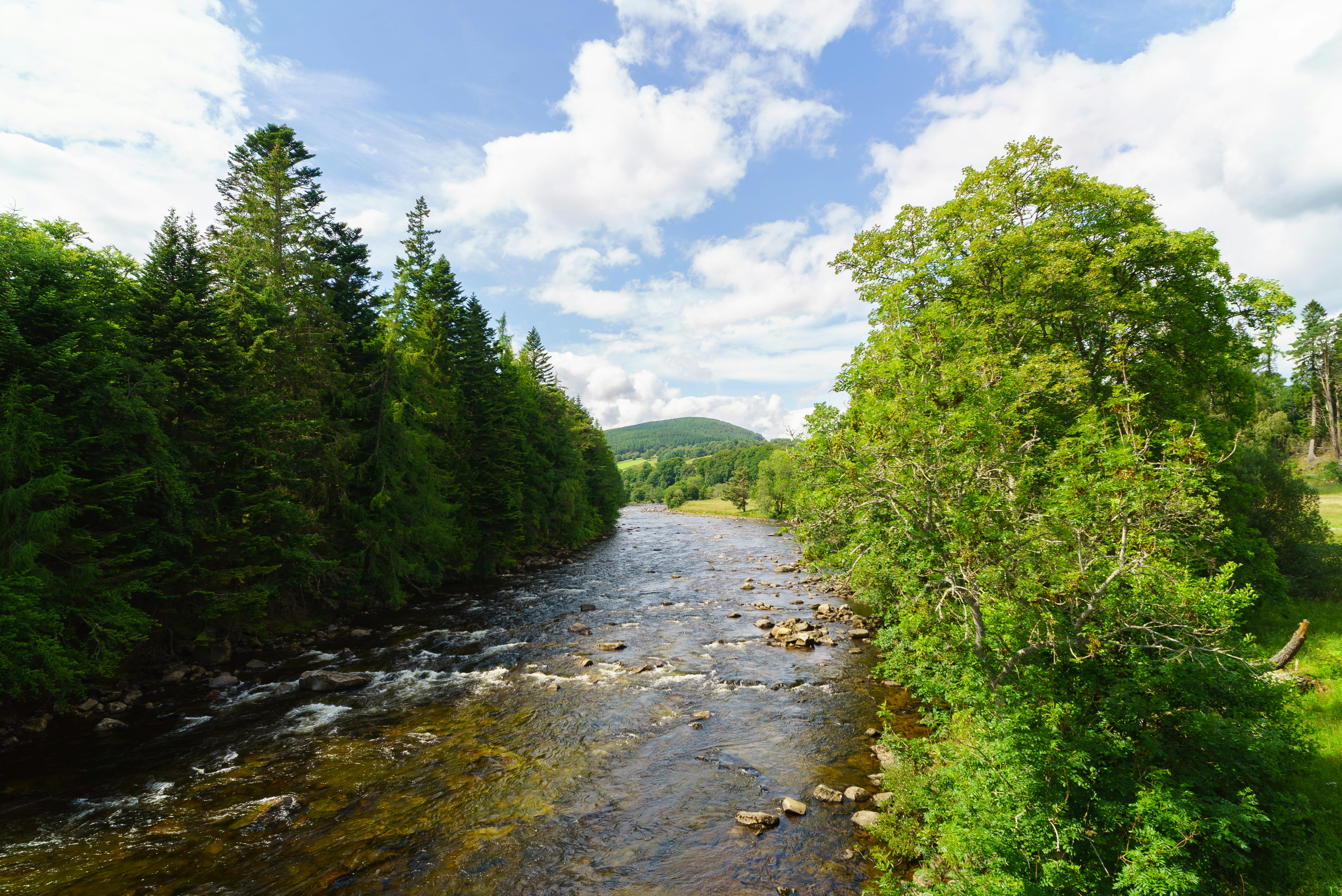 Photo by aw1cks