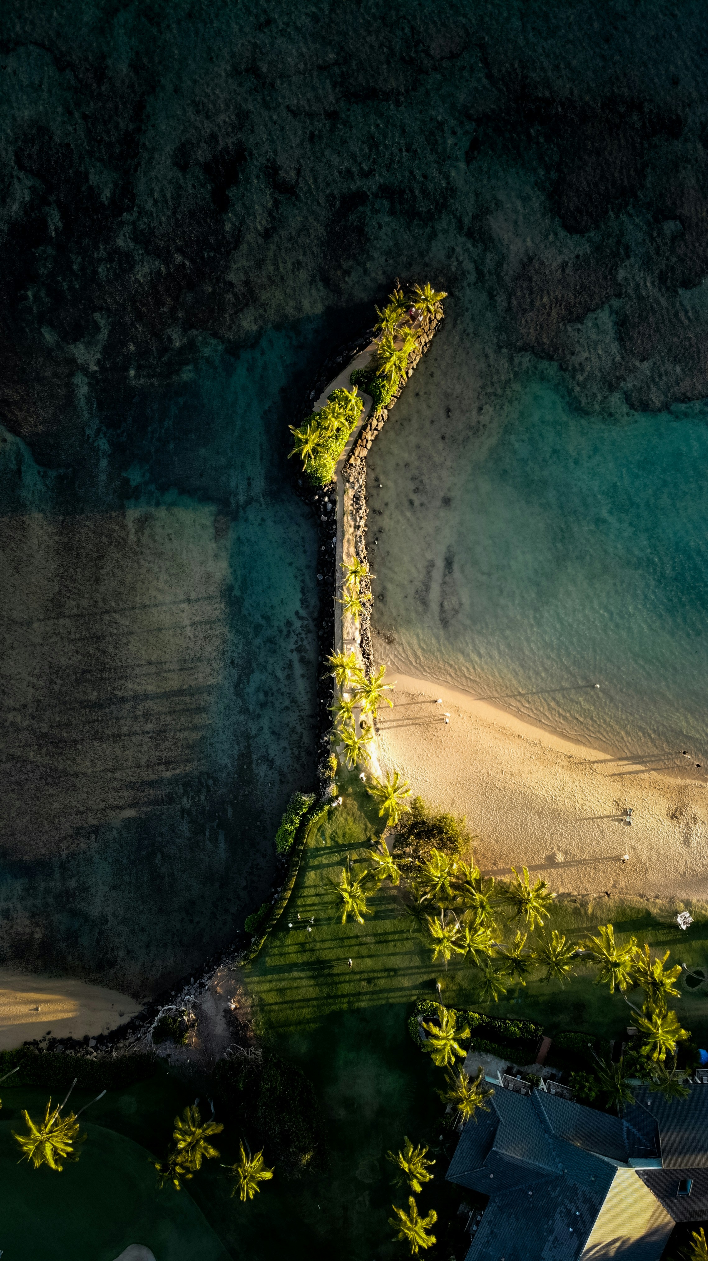 Tropical pier with palm trees extending into clear ocean water.