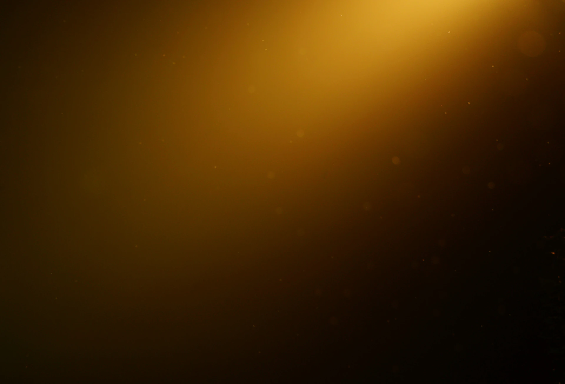 Warm golden light illuminates dust particles on a dark background.