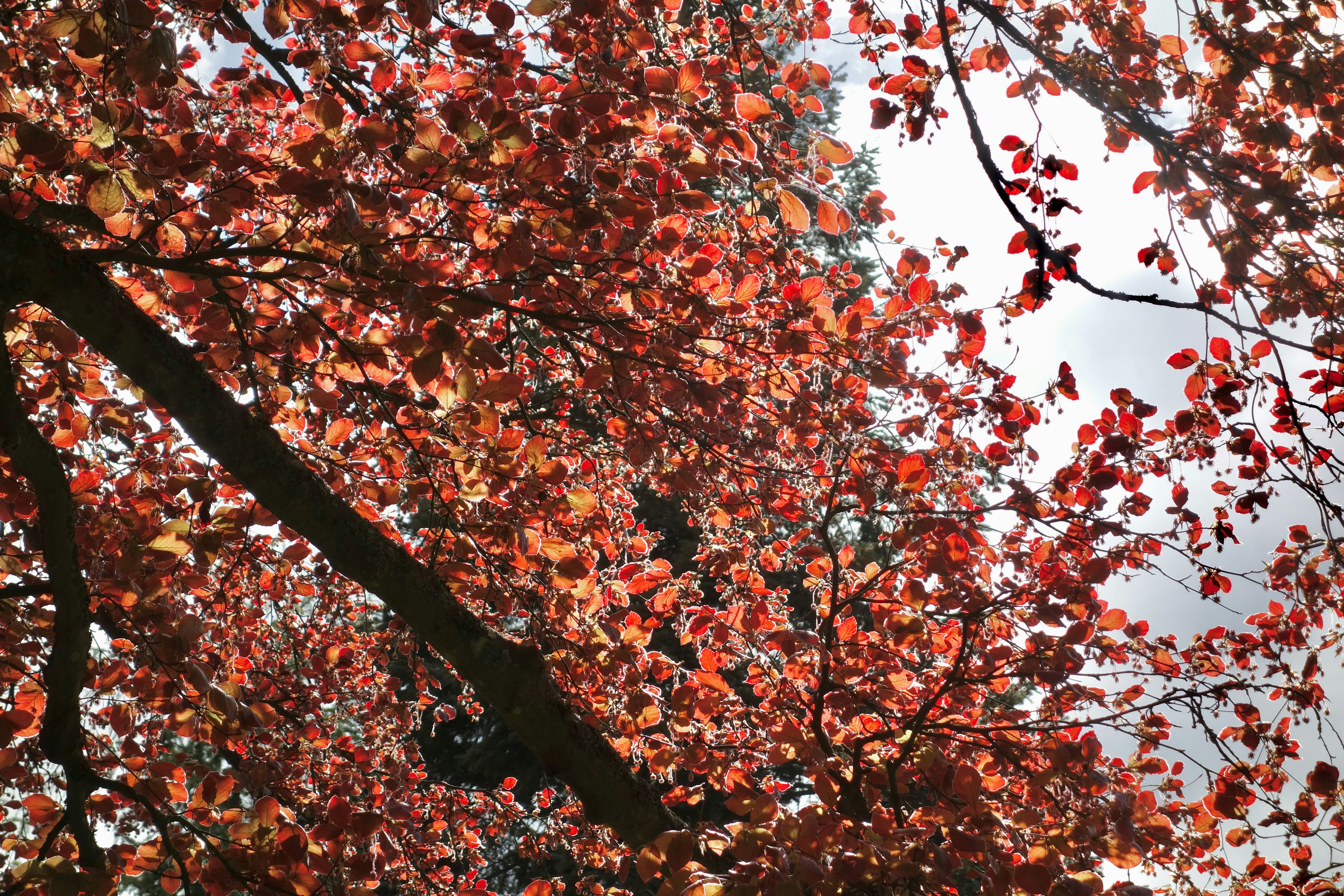 Photo by leilagood_photos