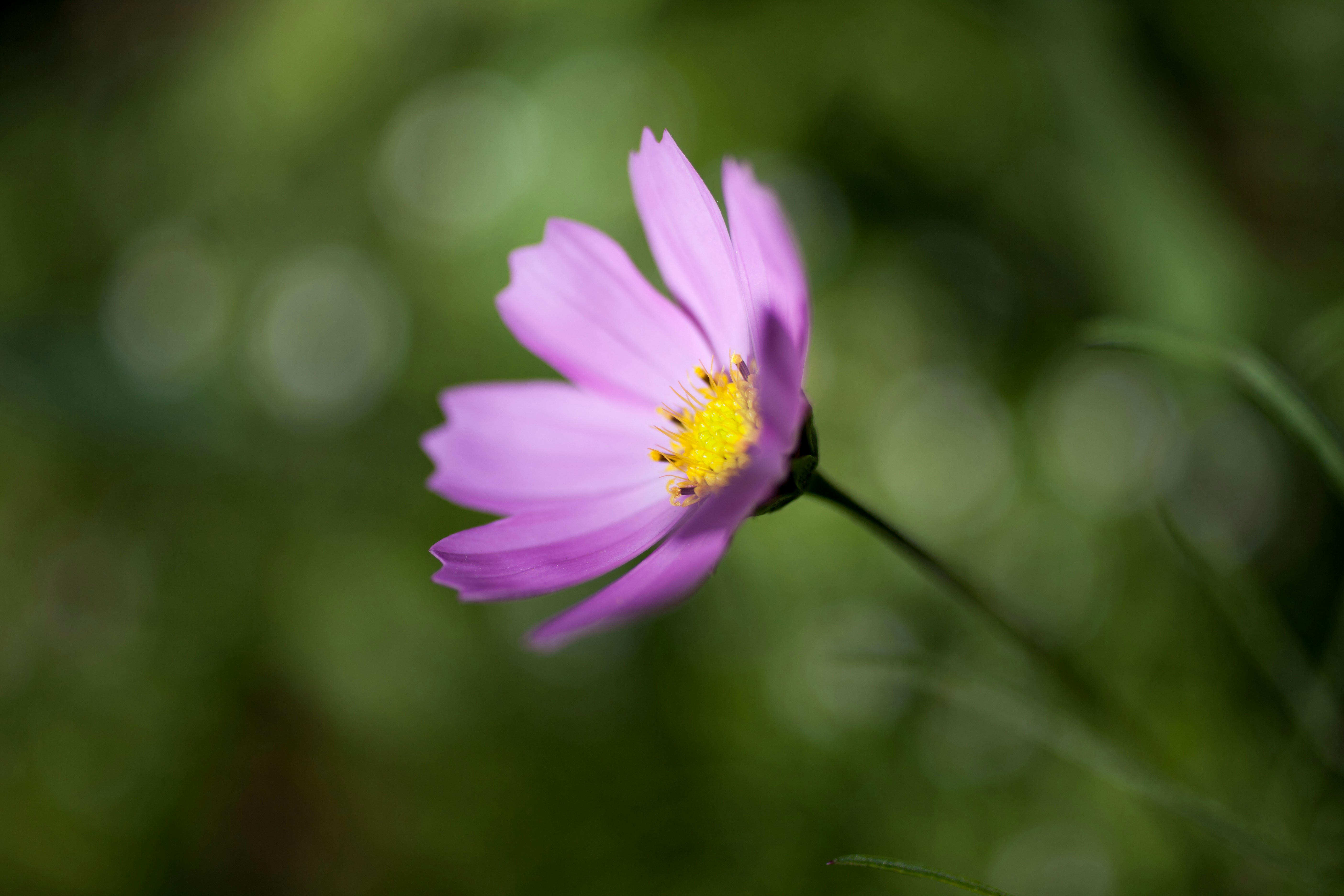Photo by rafaelpeier
