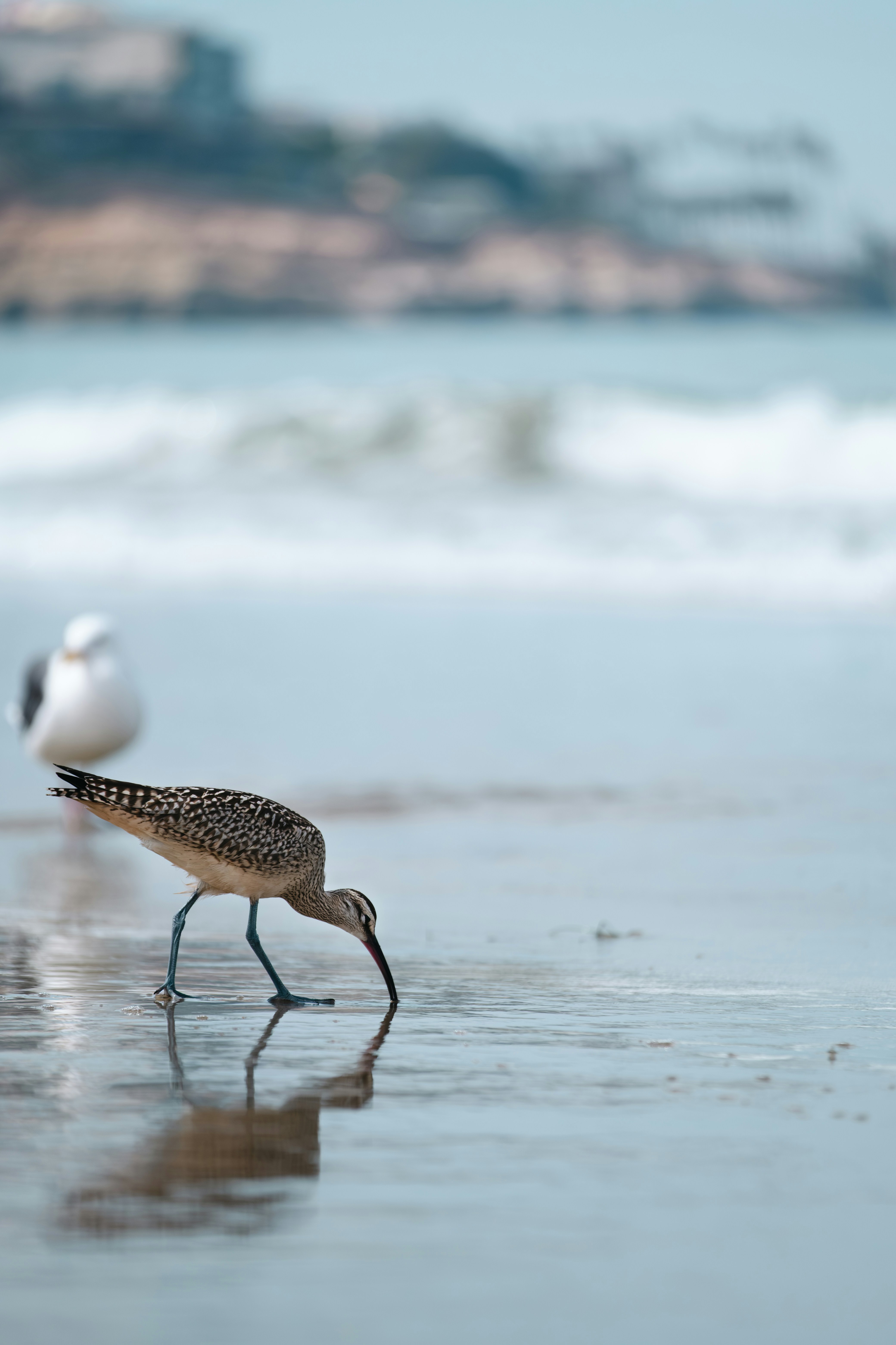 Photo by meanwhileinsandiego