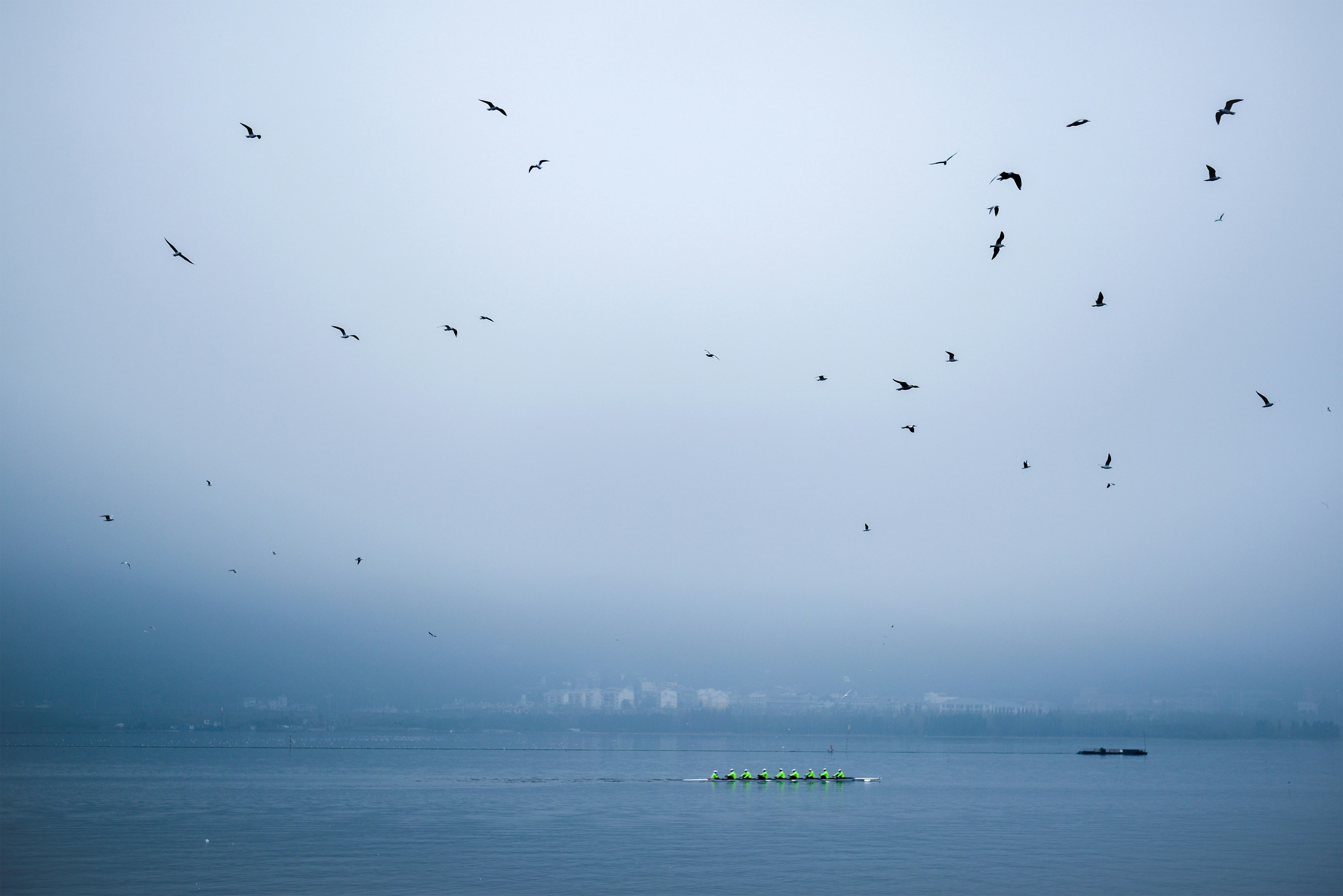Photo by lachlanwang