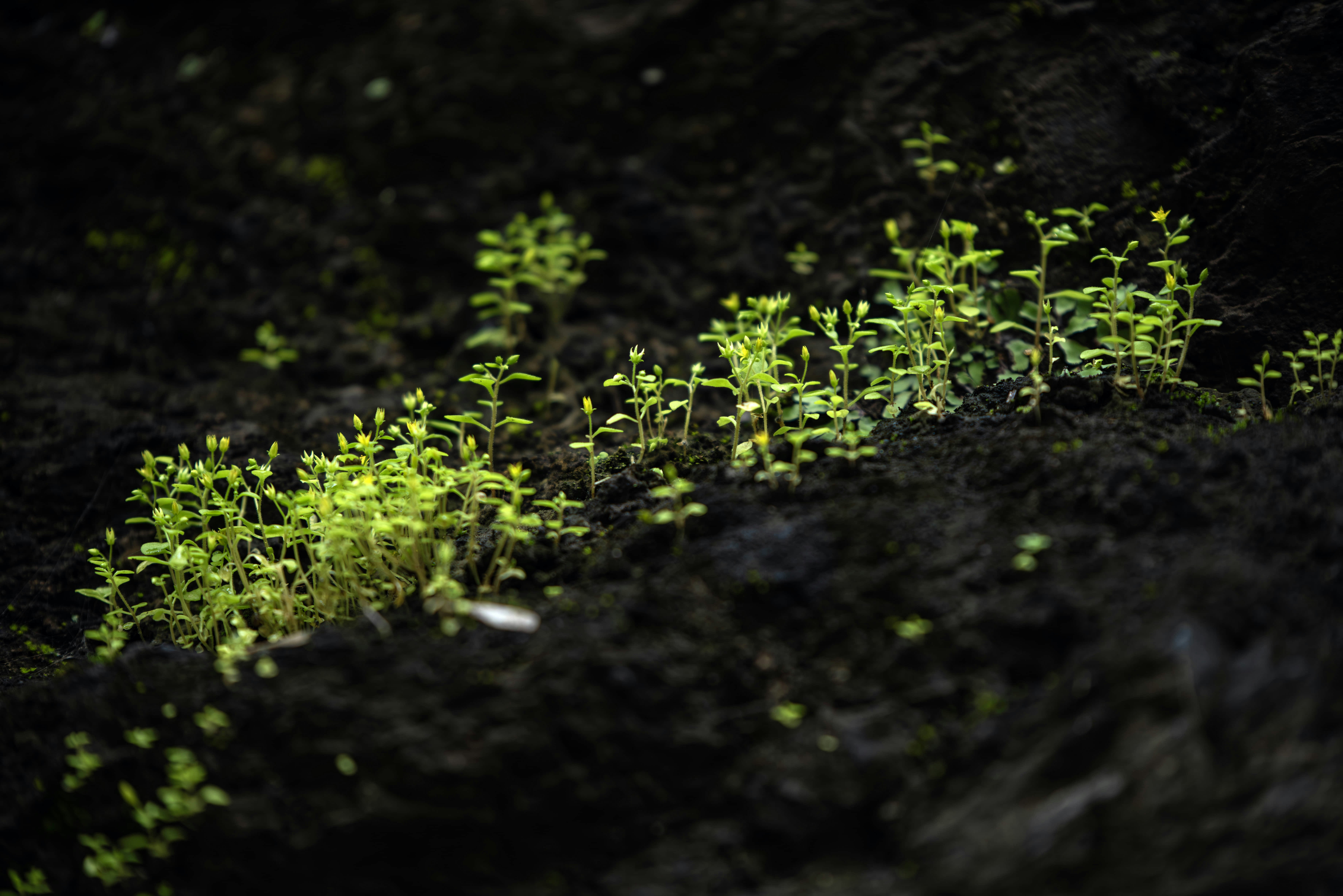 Photo by lachlanwang