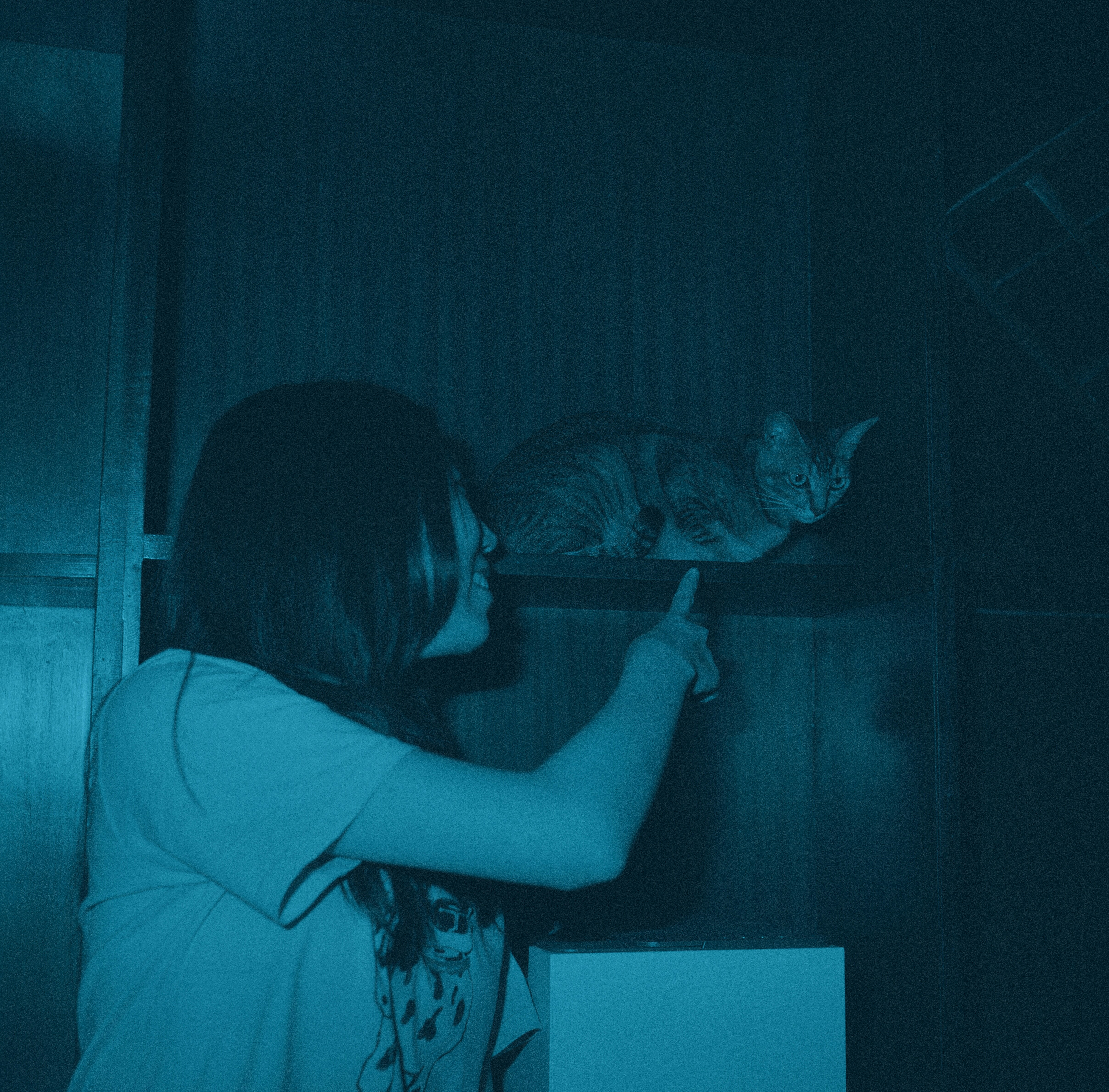 A woman points at a cat resting on a shelf.