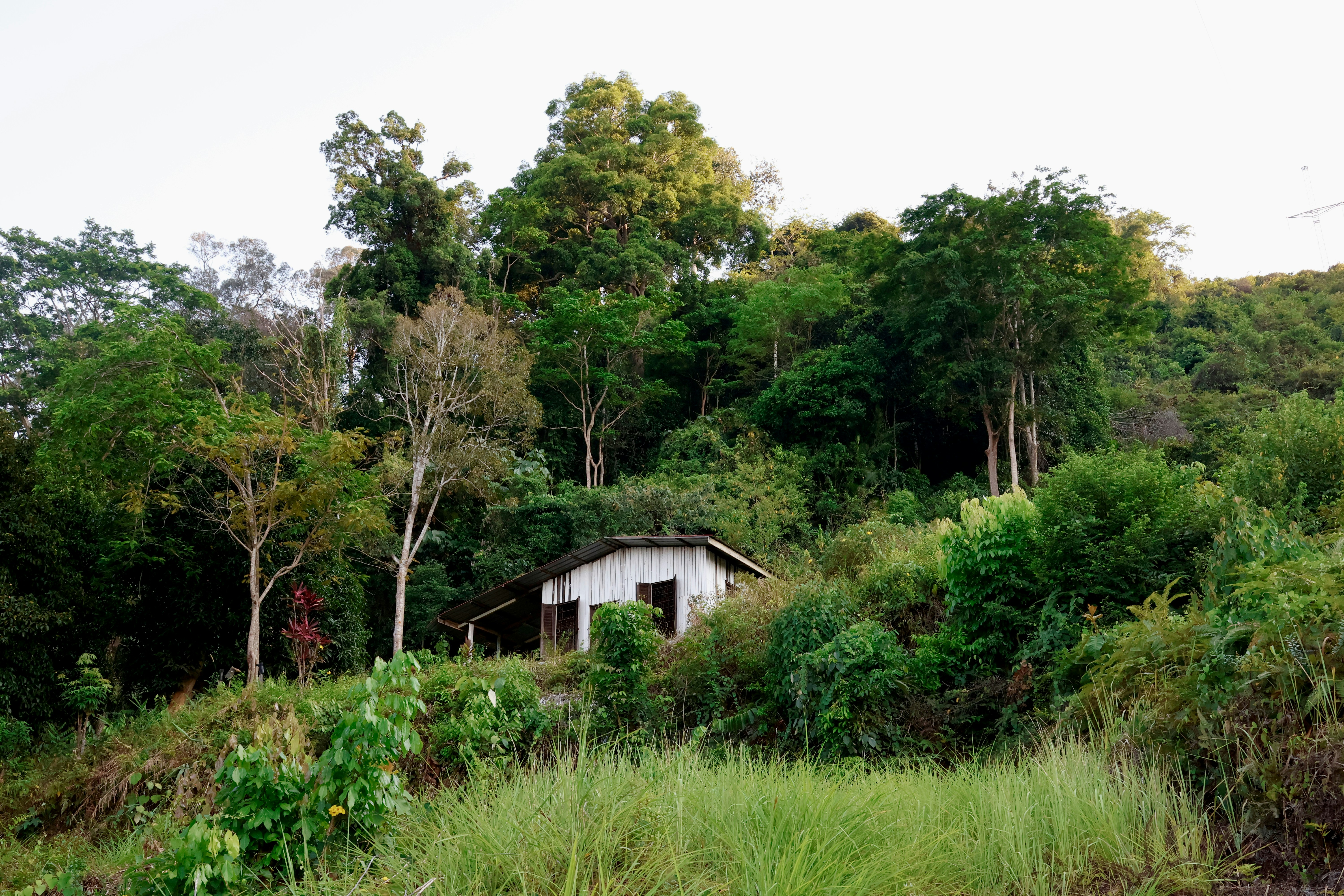 Photo by le_y0u