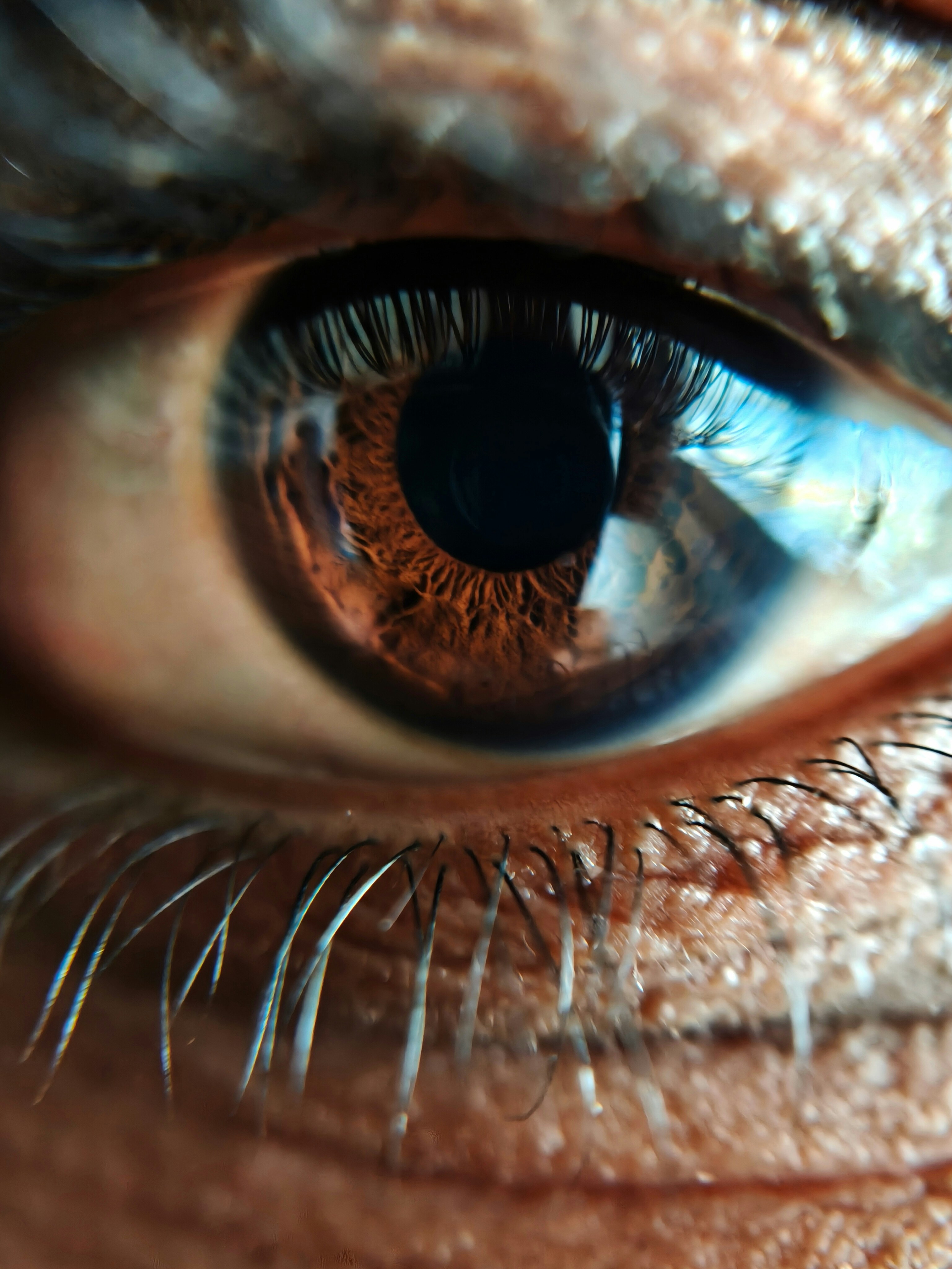 Detailed Close-up of a Brown Human Eye with Visible