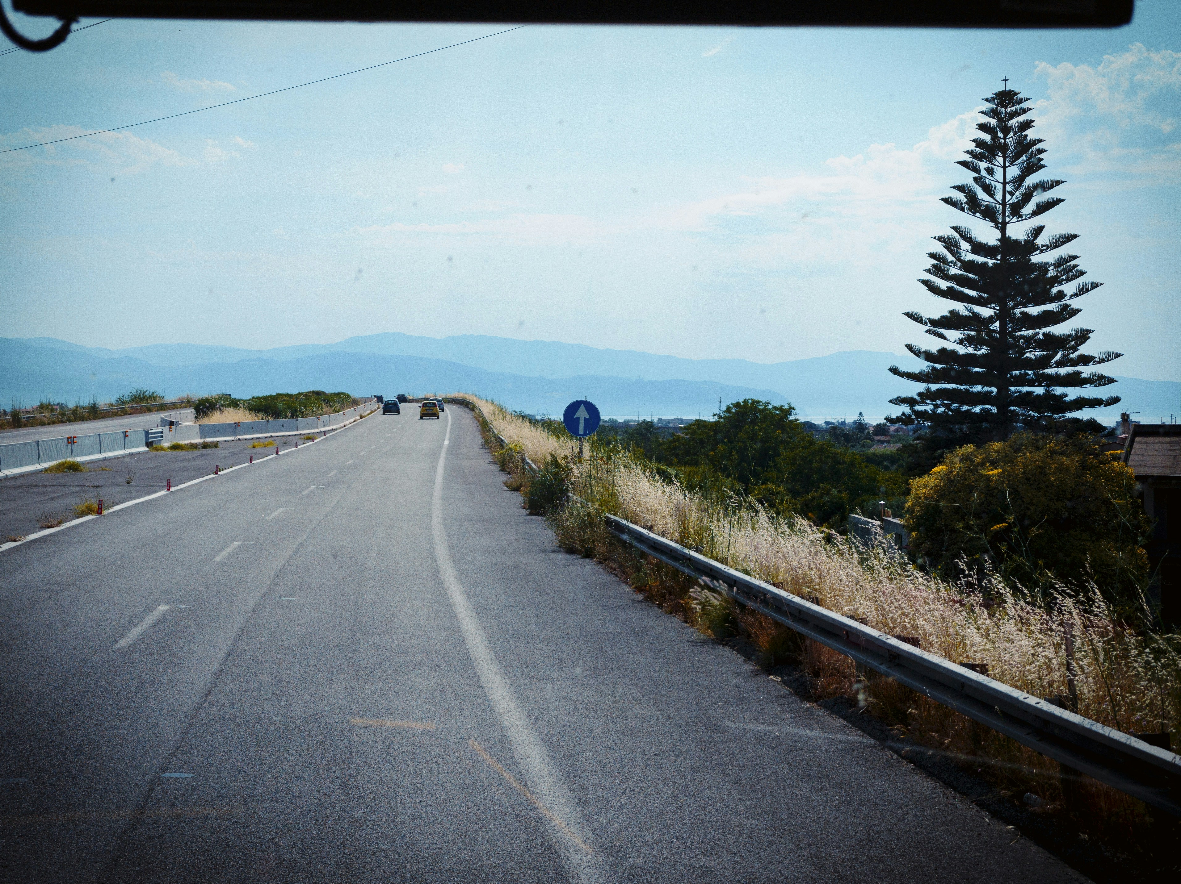 Strada che si estende verso montagne lontane con un alto pino.
