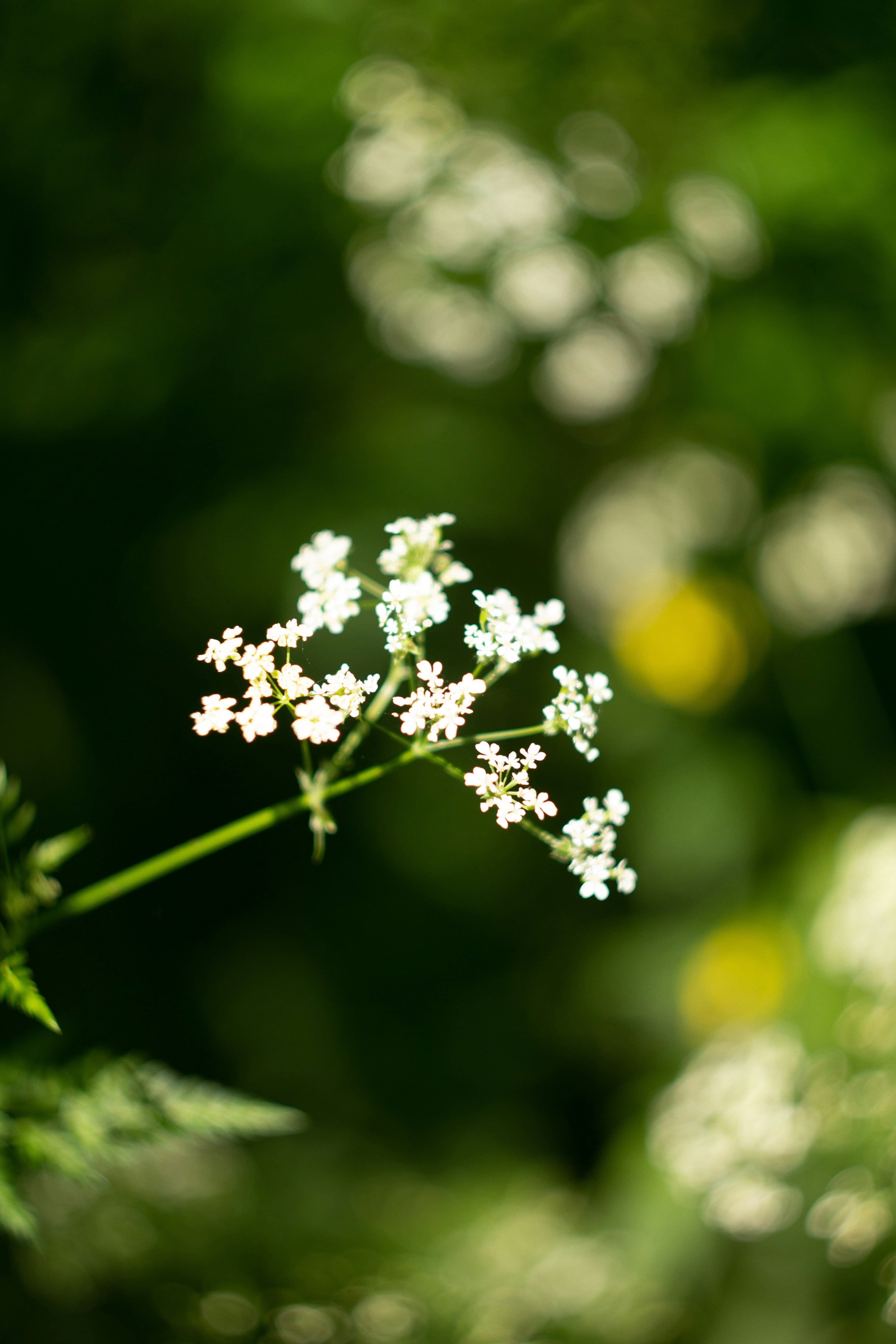 Photo by kuzminklk