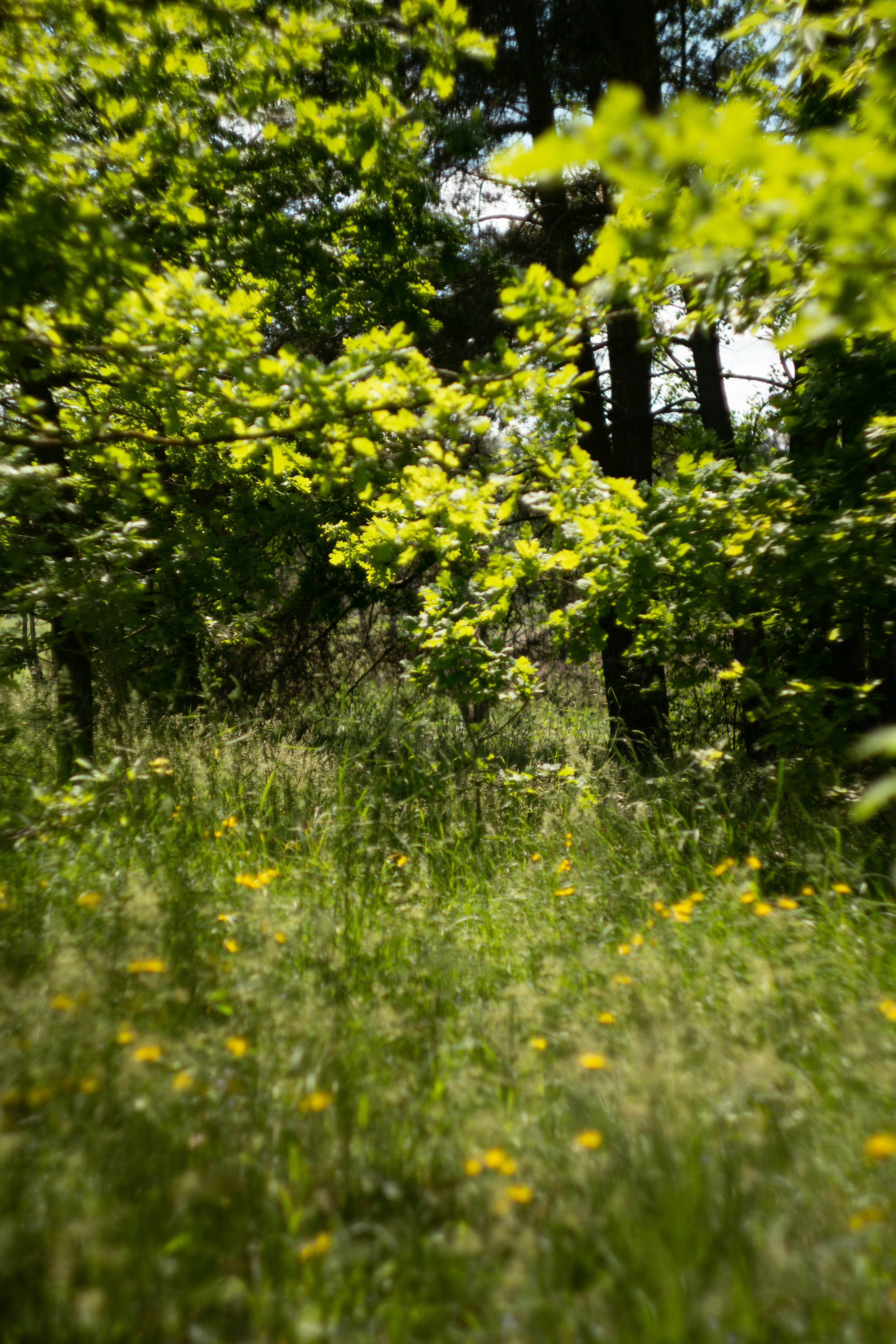 Photo by kuzminklk