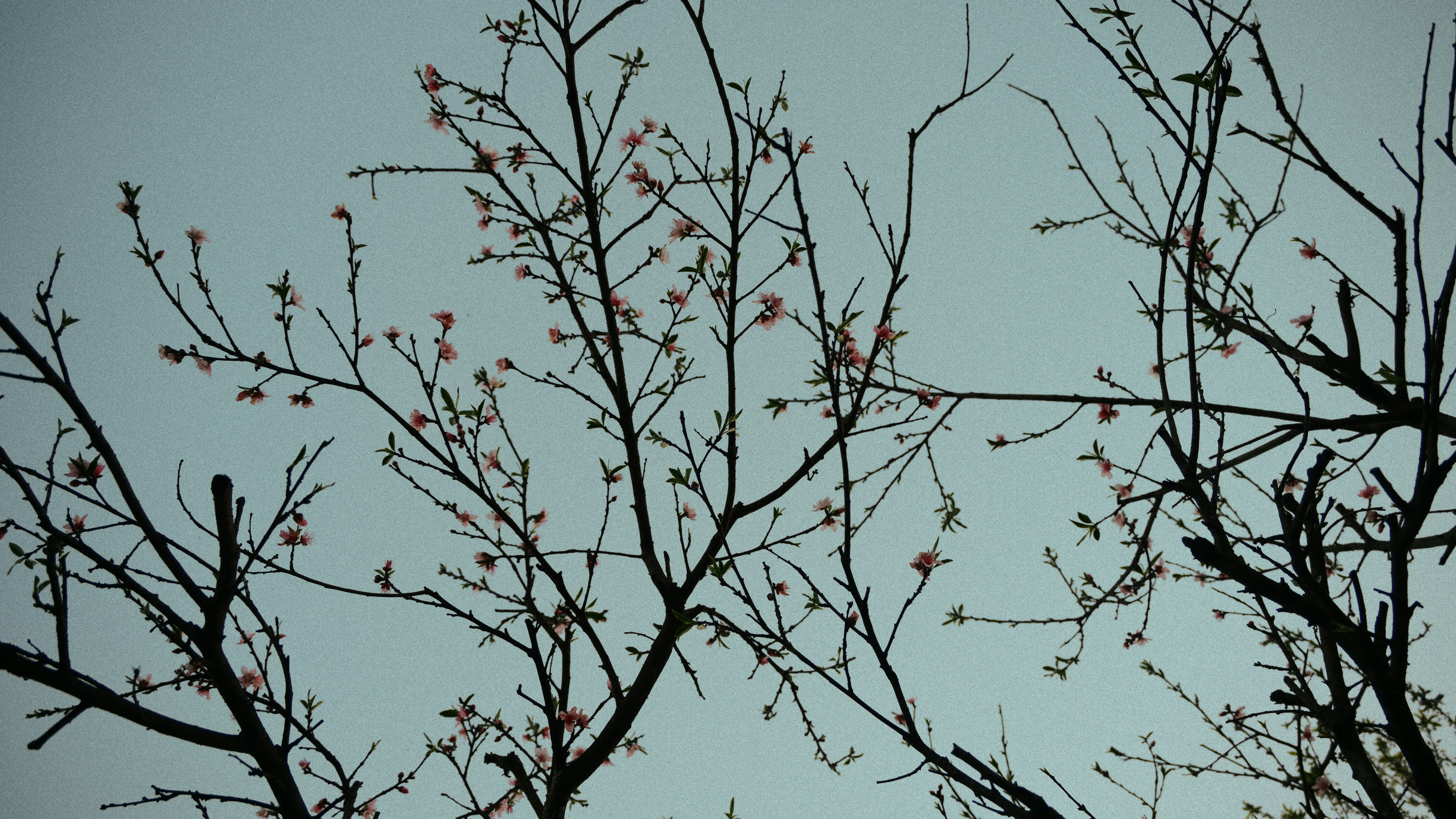 Photo by gh05t
