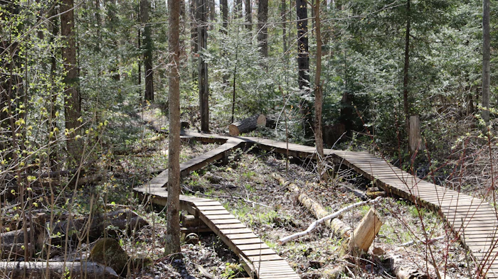 Married Man's Trail