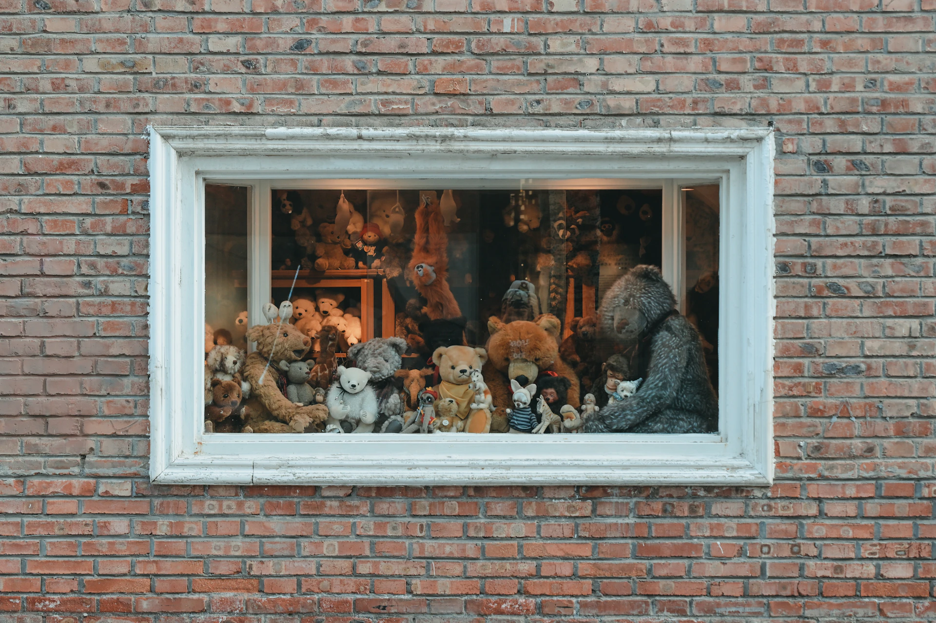 Numerous teddy bears sitting in a window display.