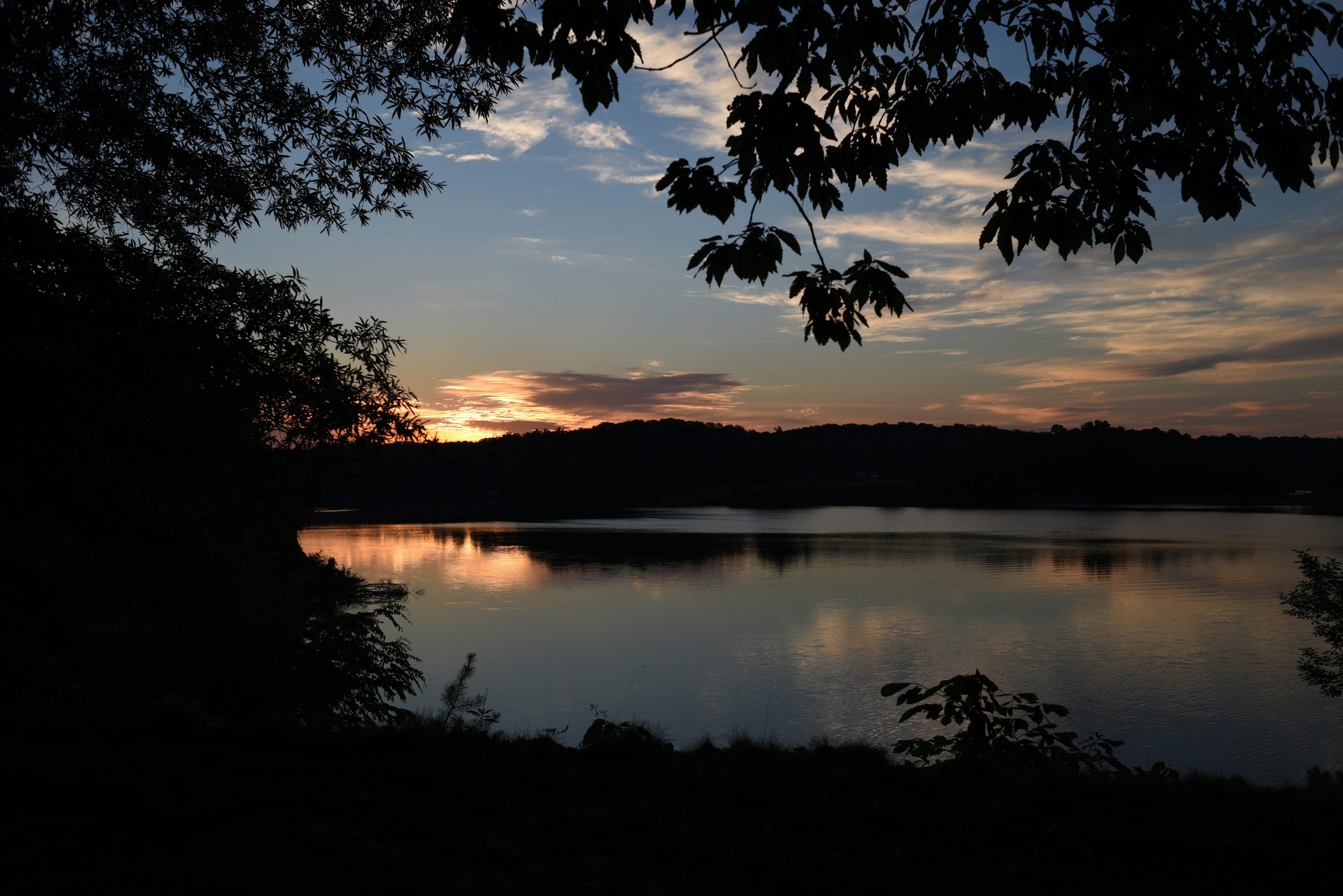 Photo by aylameinberg