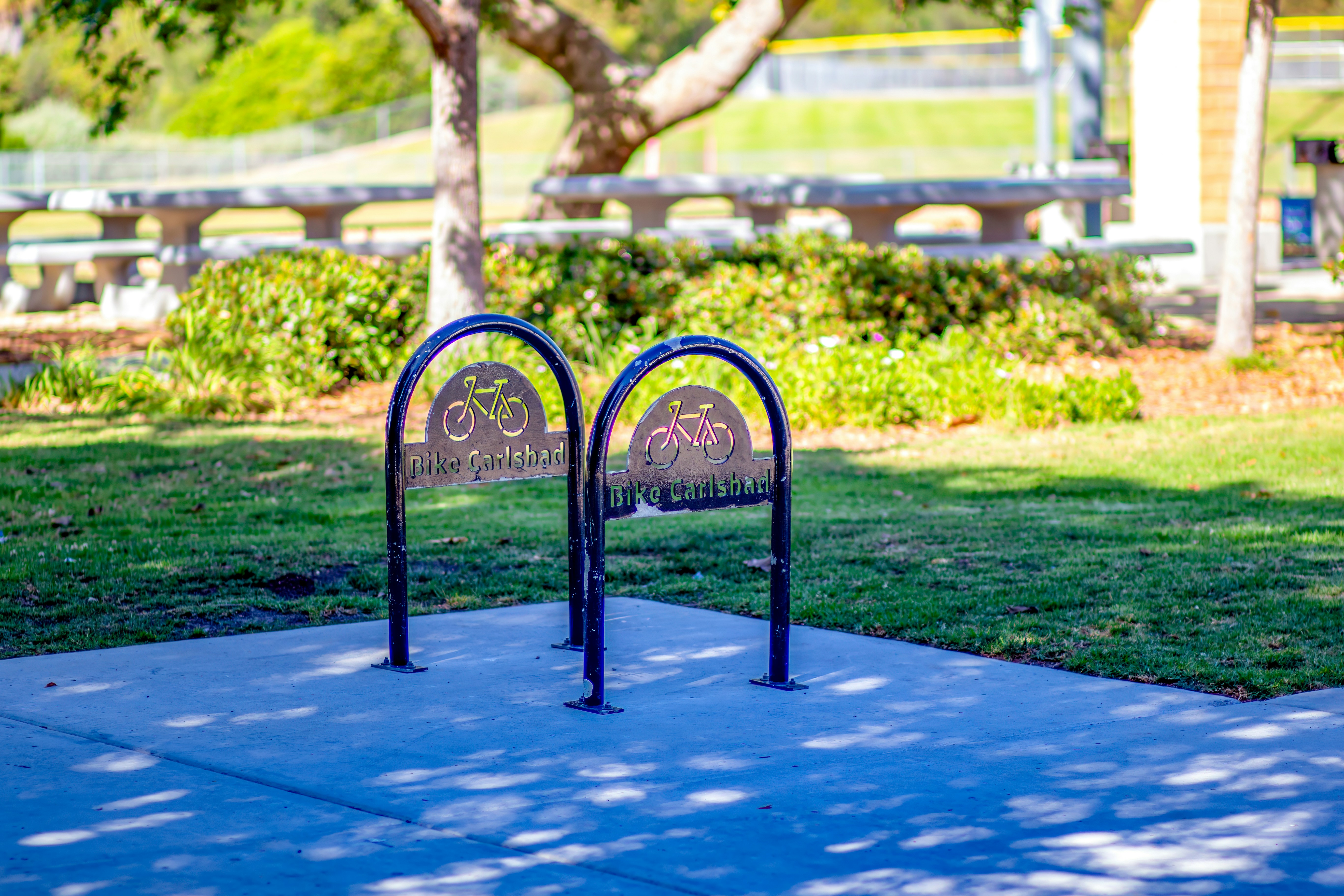 Empty bicycle racks on pavement in a sunny park.