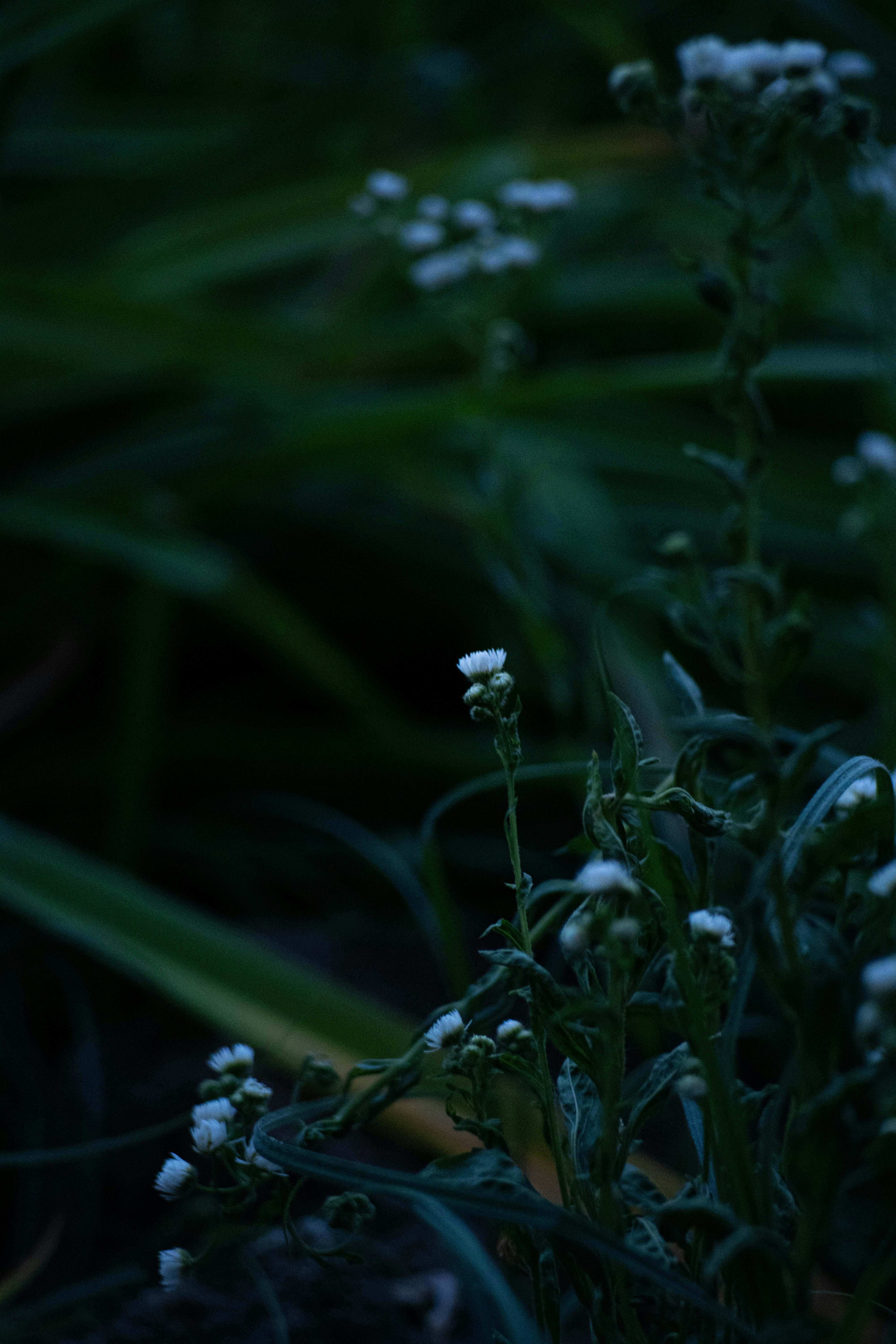 Photo by j0ke