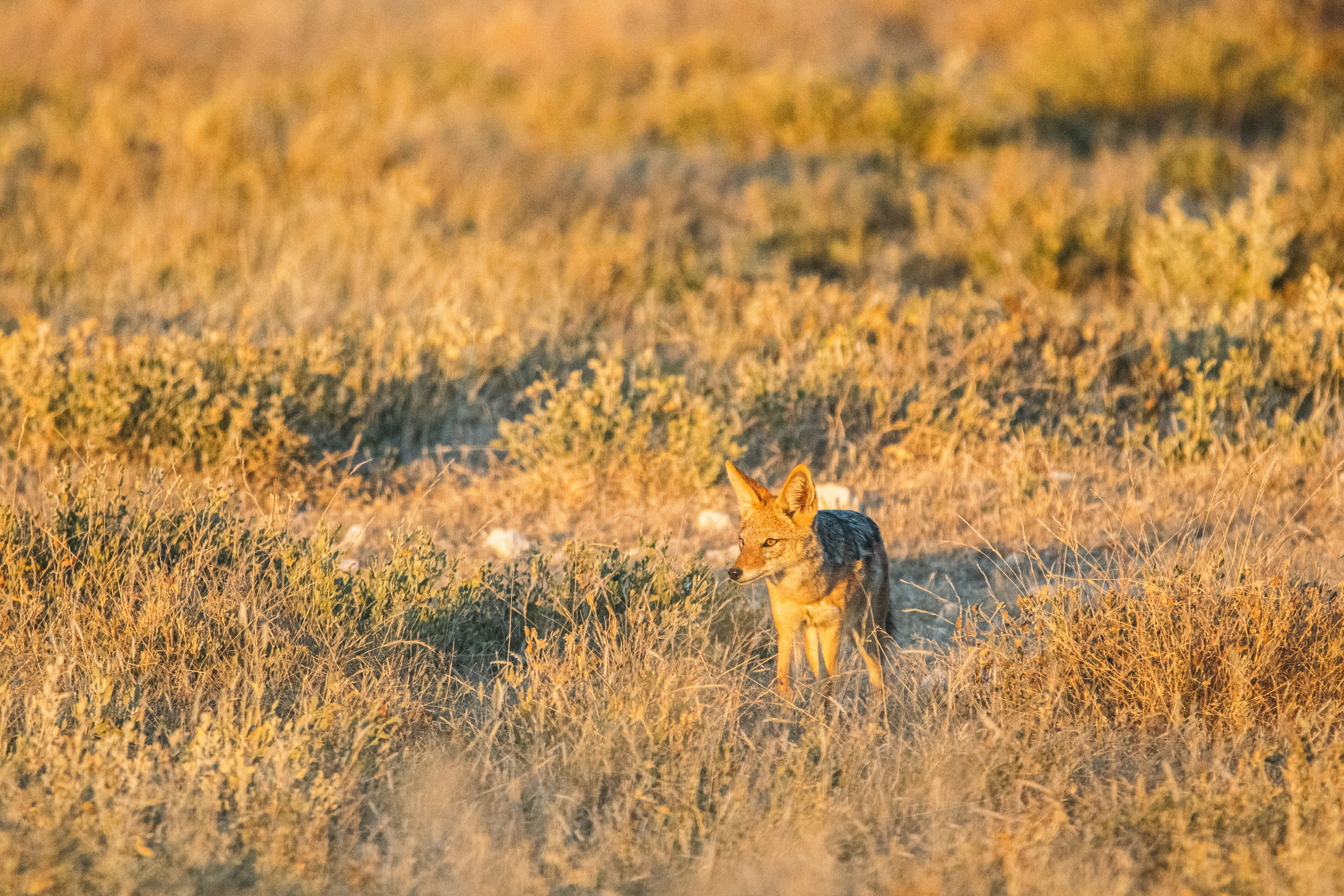 Photo by rafaelpeier