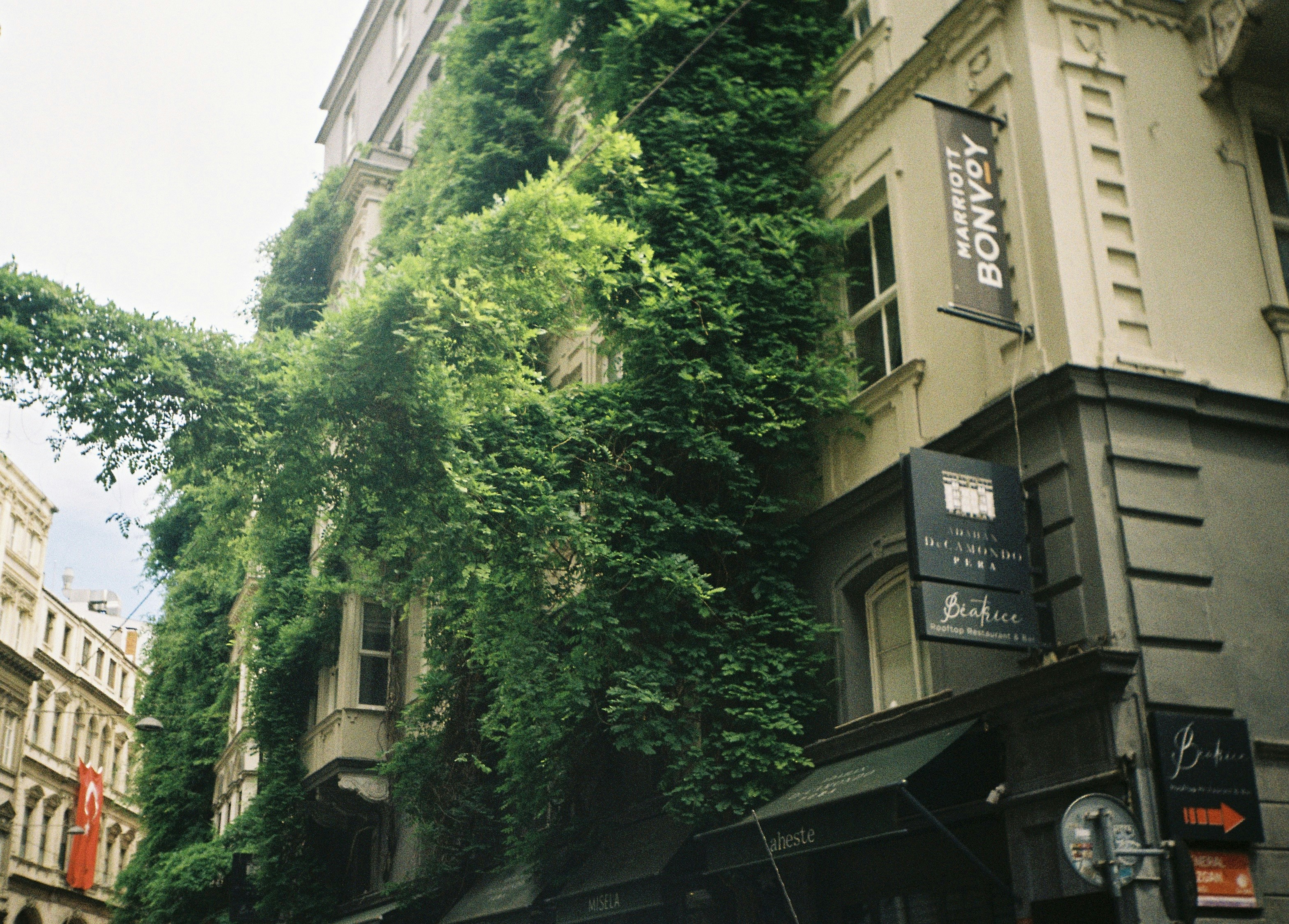 Ivy-covered building on a city street with signs