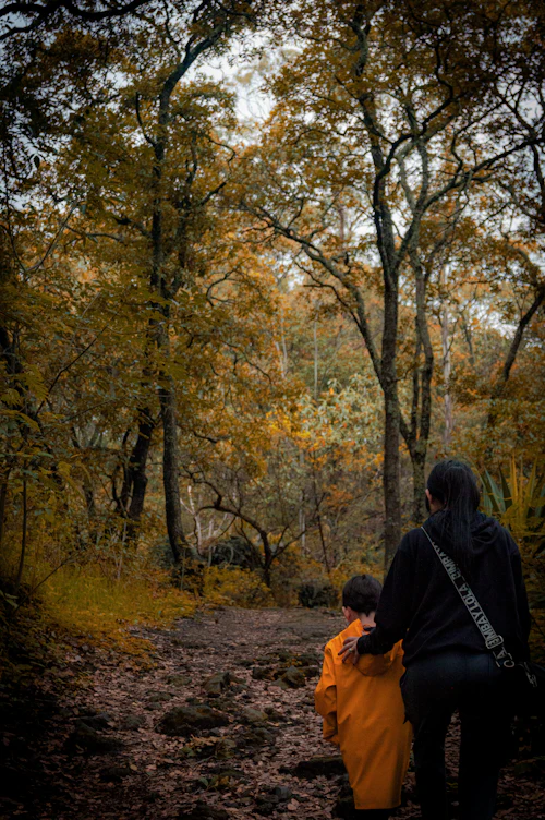 Adulte et enfant dans un bois aux couleurs d'automne