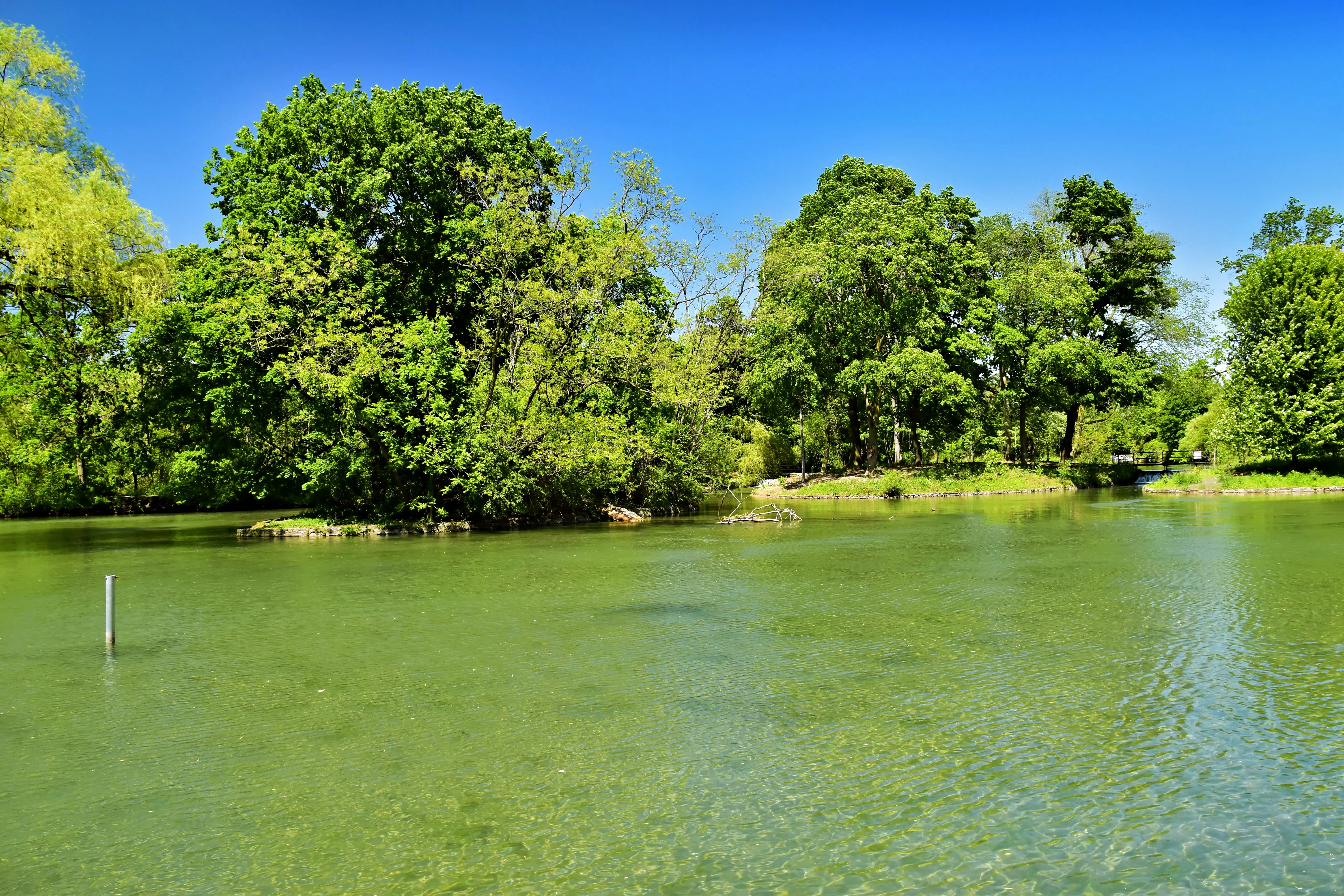 Green lake with trees under a clear blue sky.