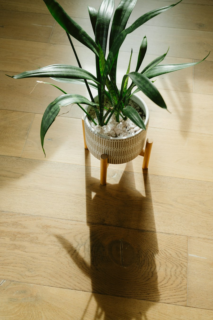 Lưỡi Hổ Thái