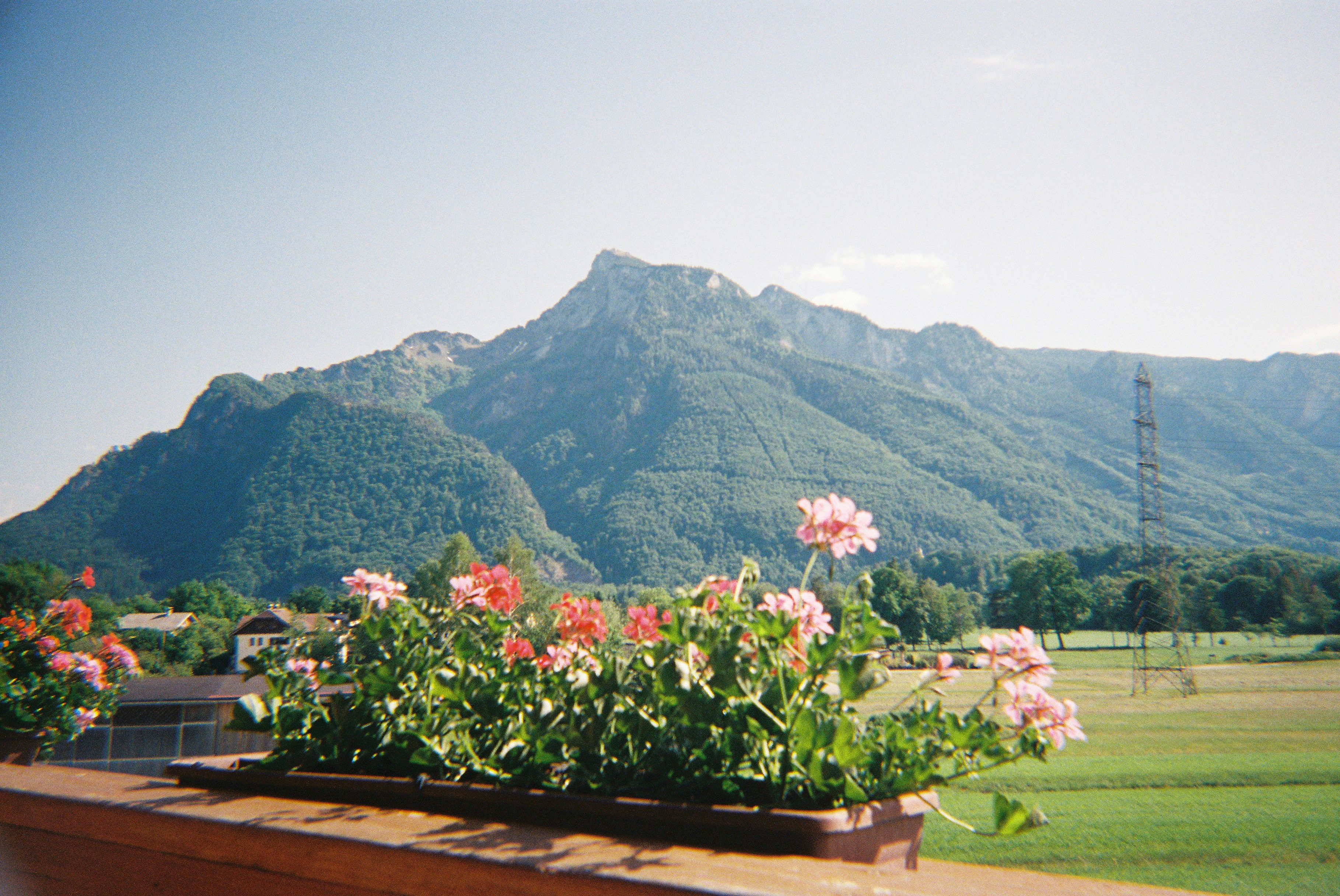 Green mountains rise behind a balcony with pink flowers.