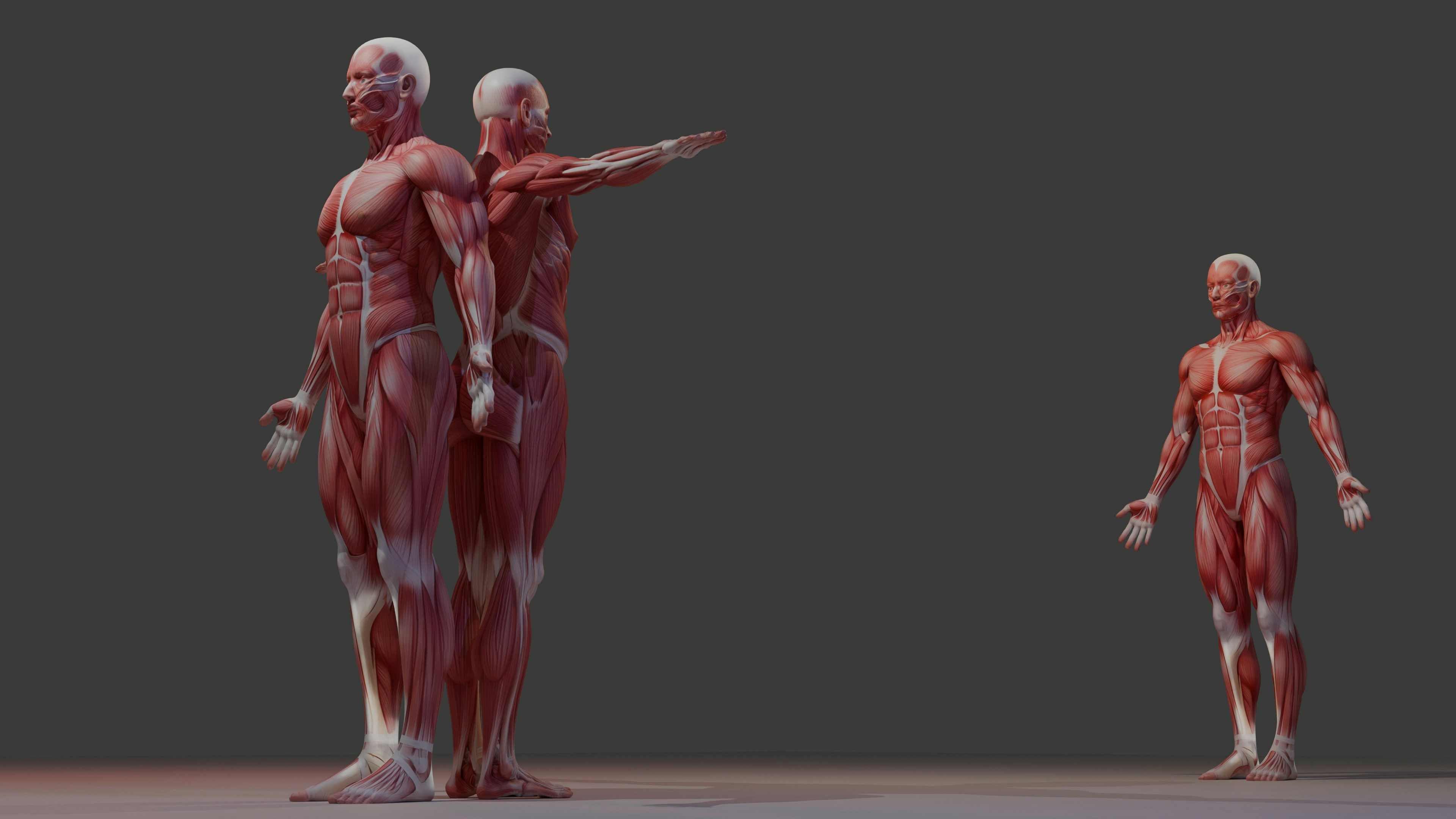 AI vs. Doctors: Two Models Just Matched Human Physicians in Diagnosis (But There's a 2025 Catch)