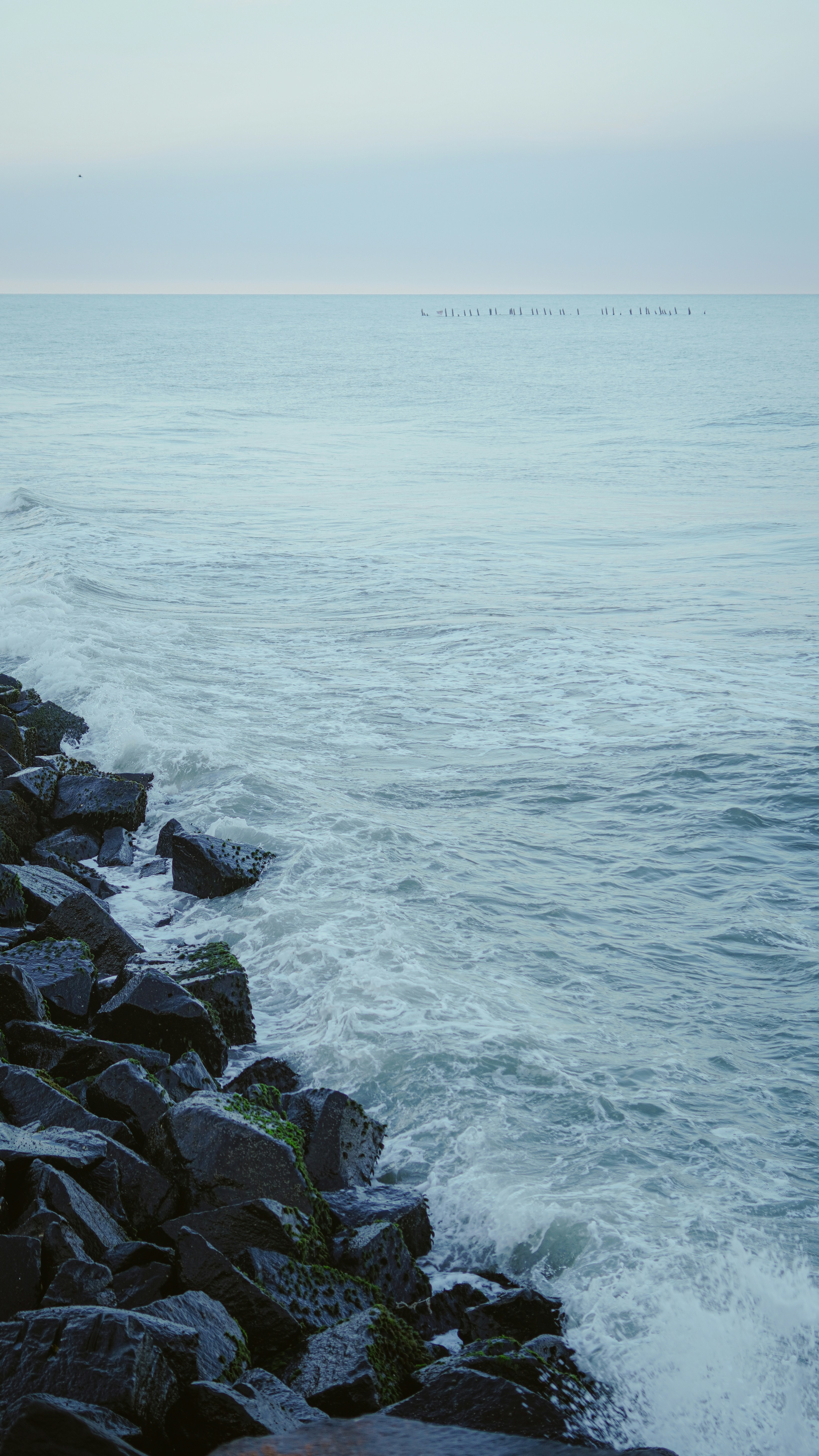 Photo by miruthulaadiyamane